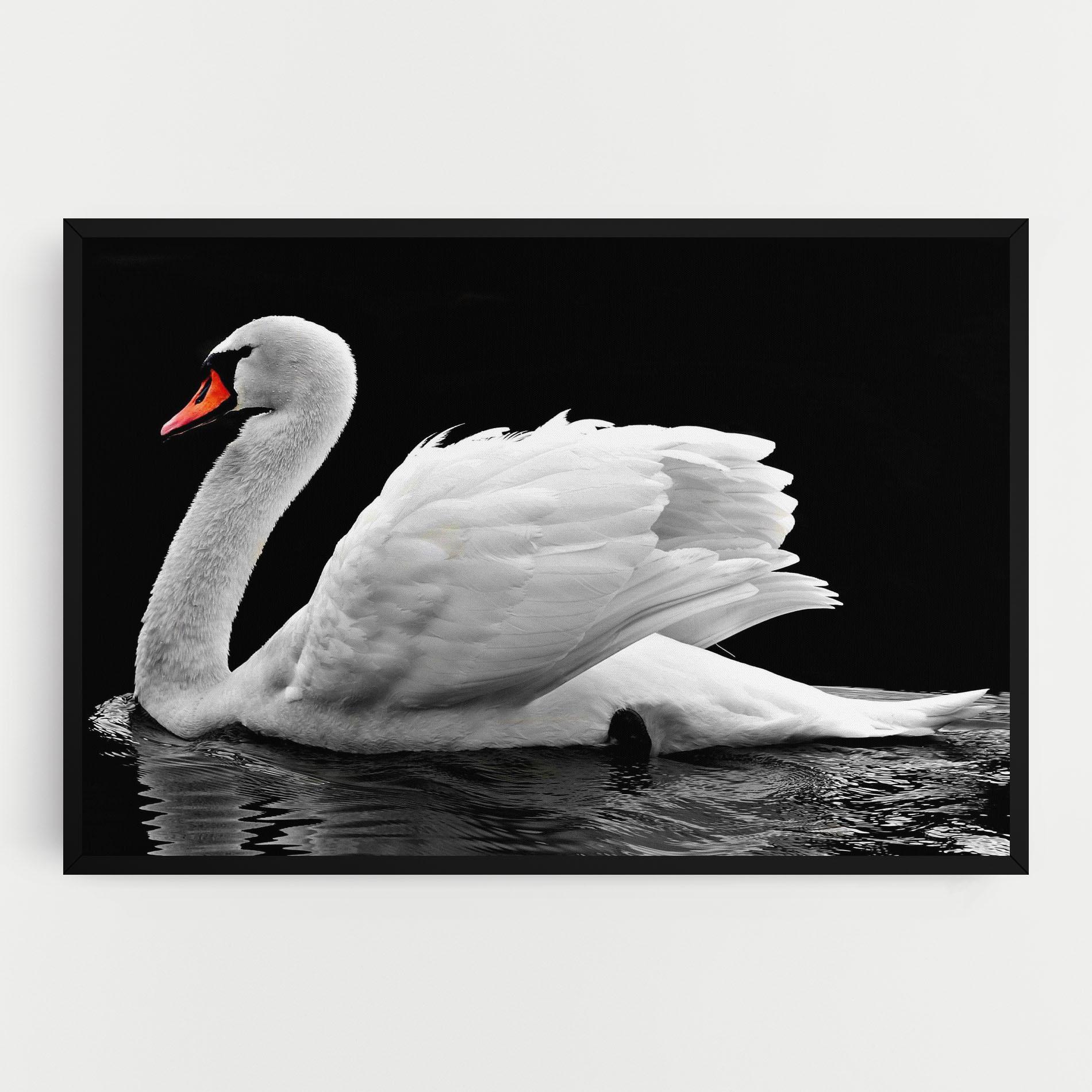 Tablou Canvas Black And White Swan mockup 0