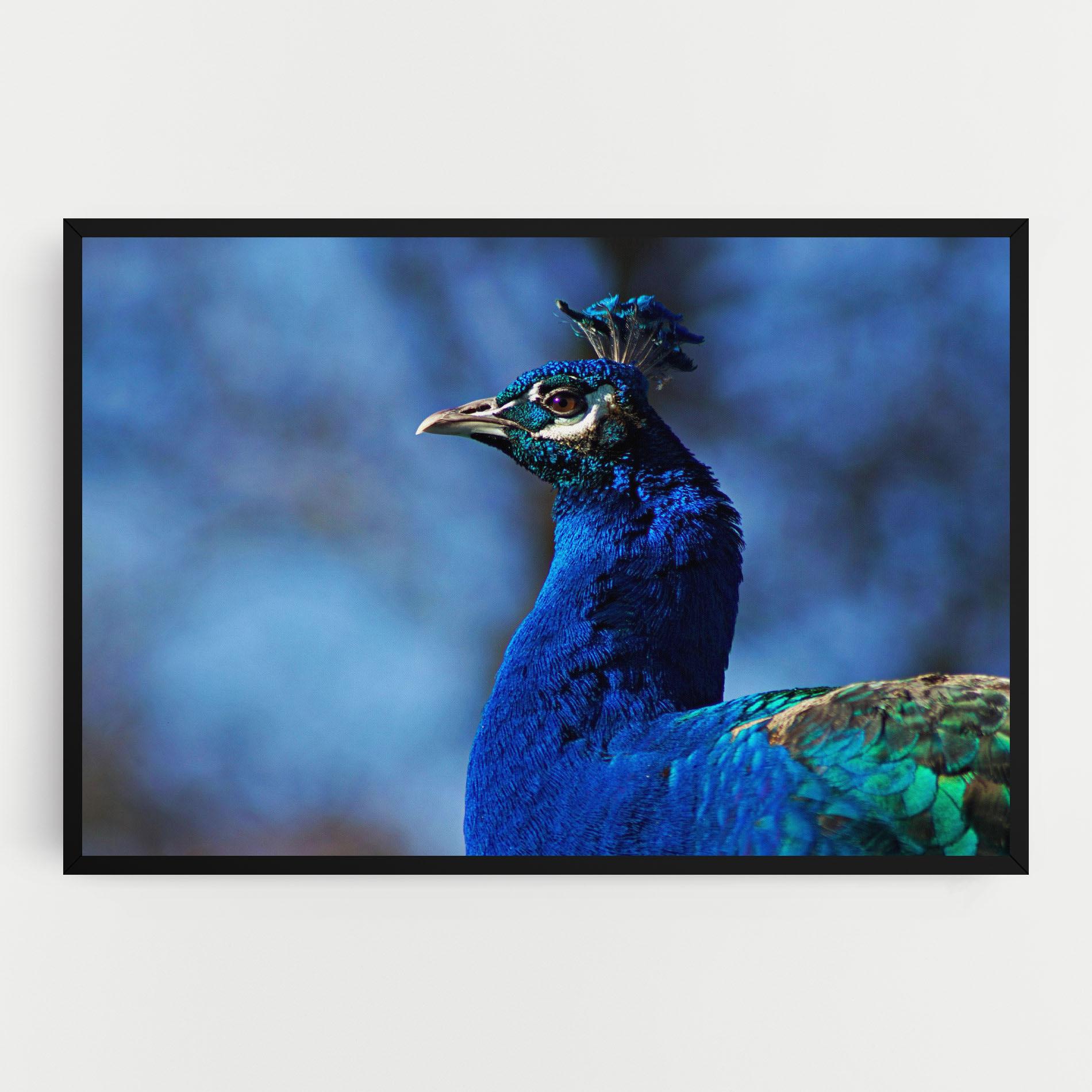 Tablou Canvas Blue Bird mockup 0
