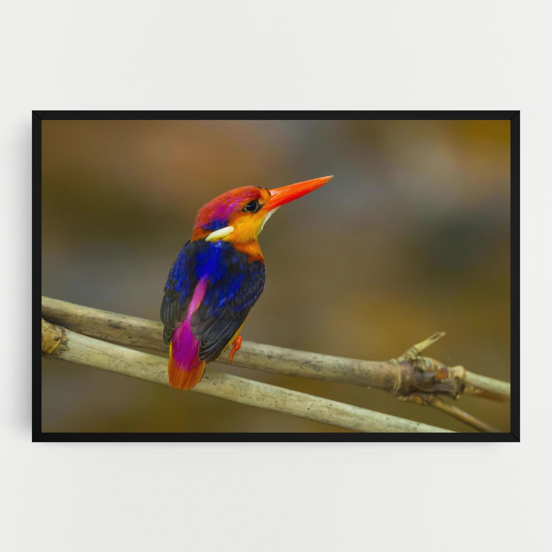 Tablou Canvas Colorful Bird mockup 0