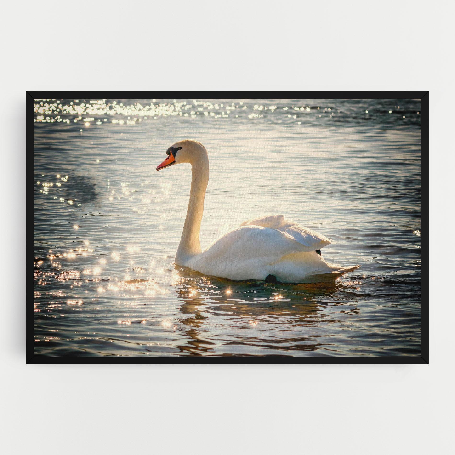 Tablou Canvas Swan On Lake mockup 0