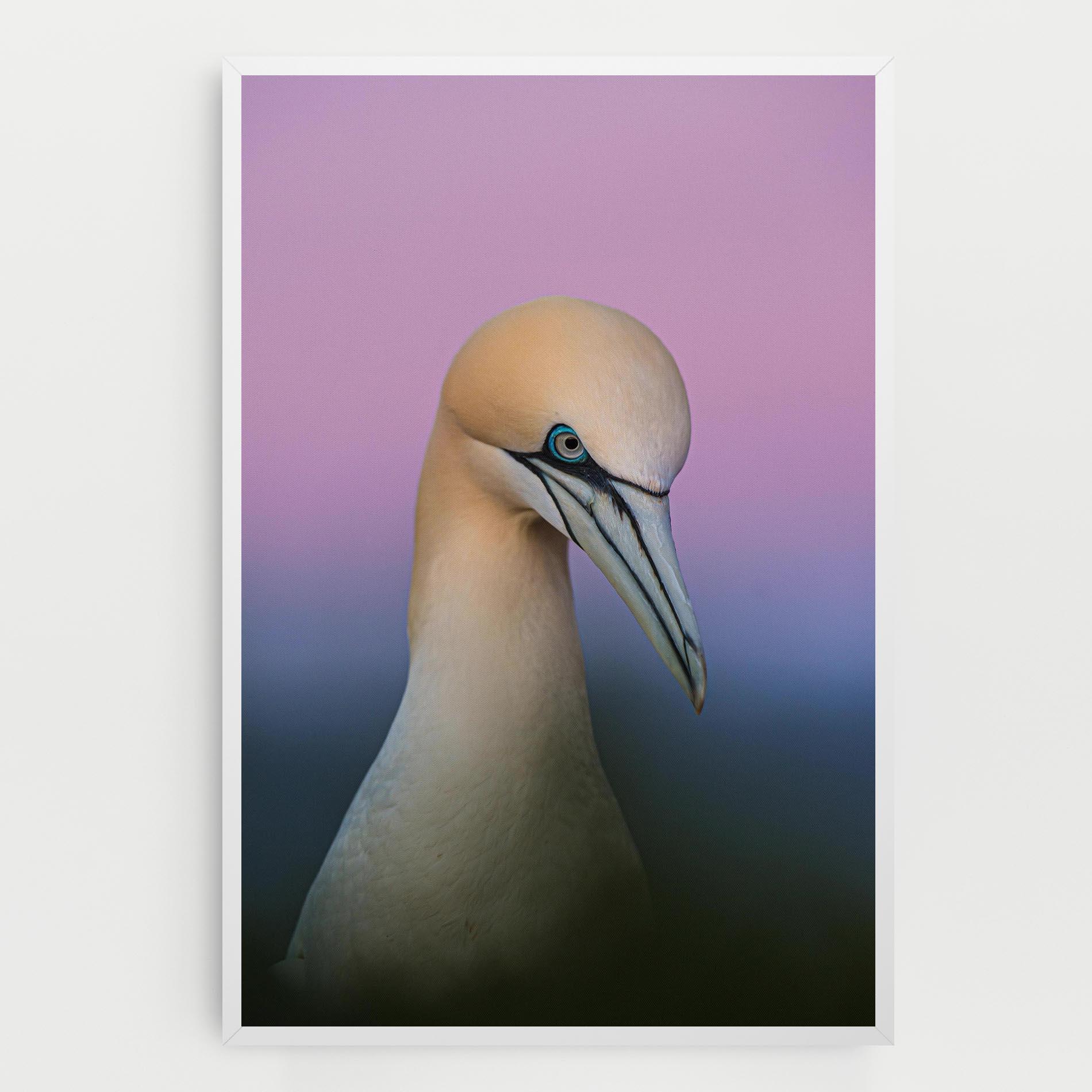 Tablou Canvas Bird Shades mockup 0