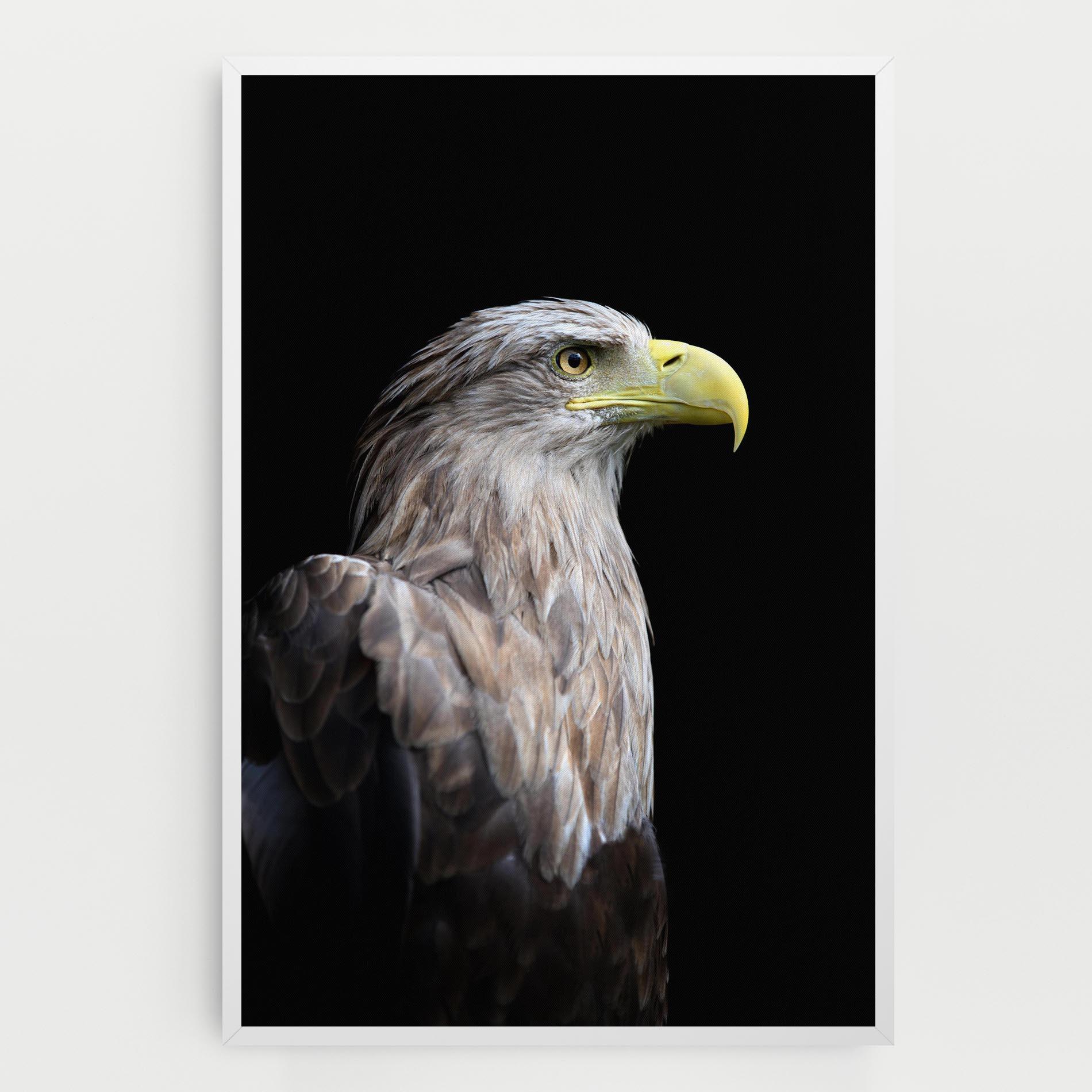 Tablou Canvas Close Up Eagle mockup 0