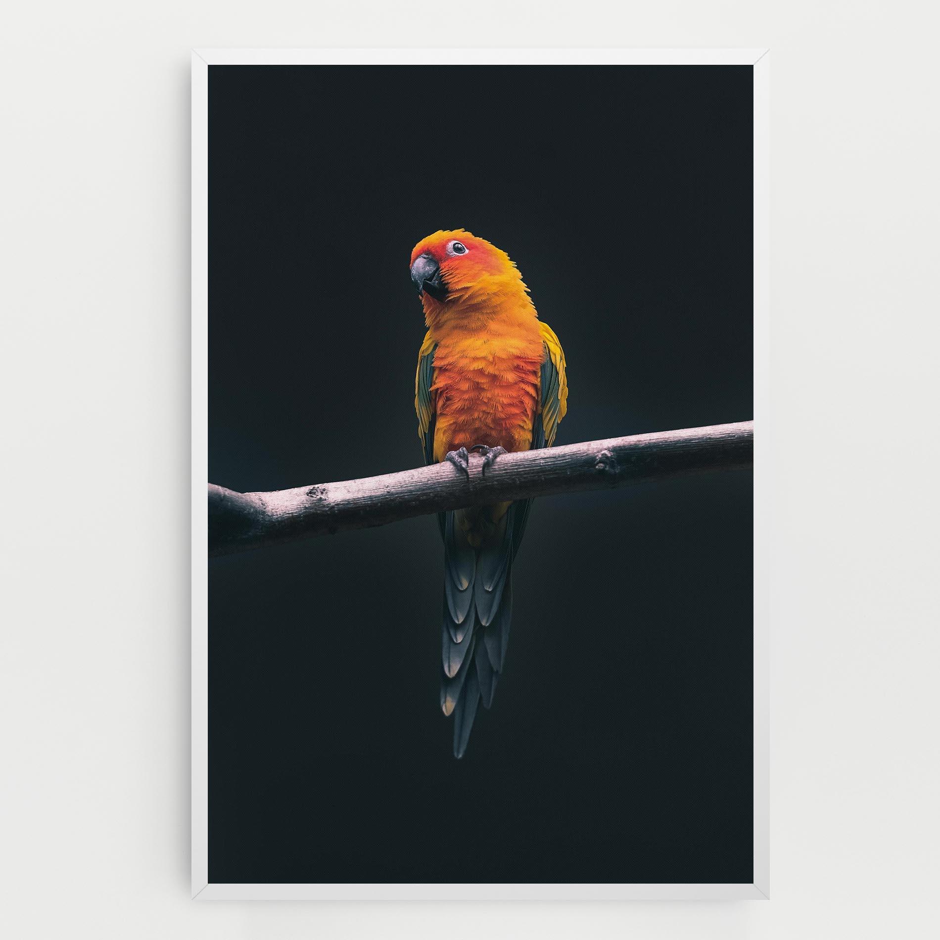 Tablou Canvas Fire Parrot mockup 0