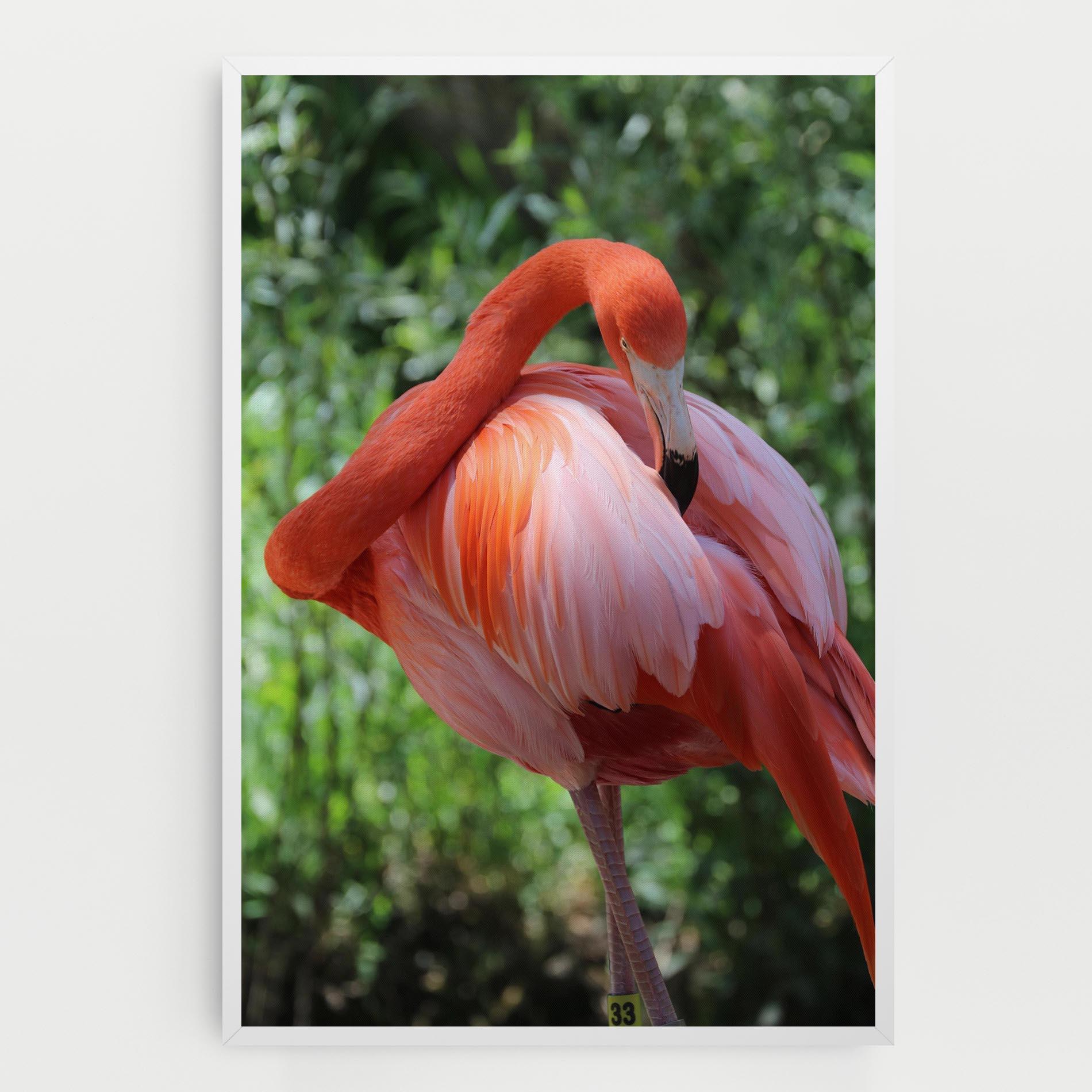 Tablou Canvas Red Flamingo mockup 0