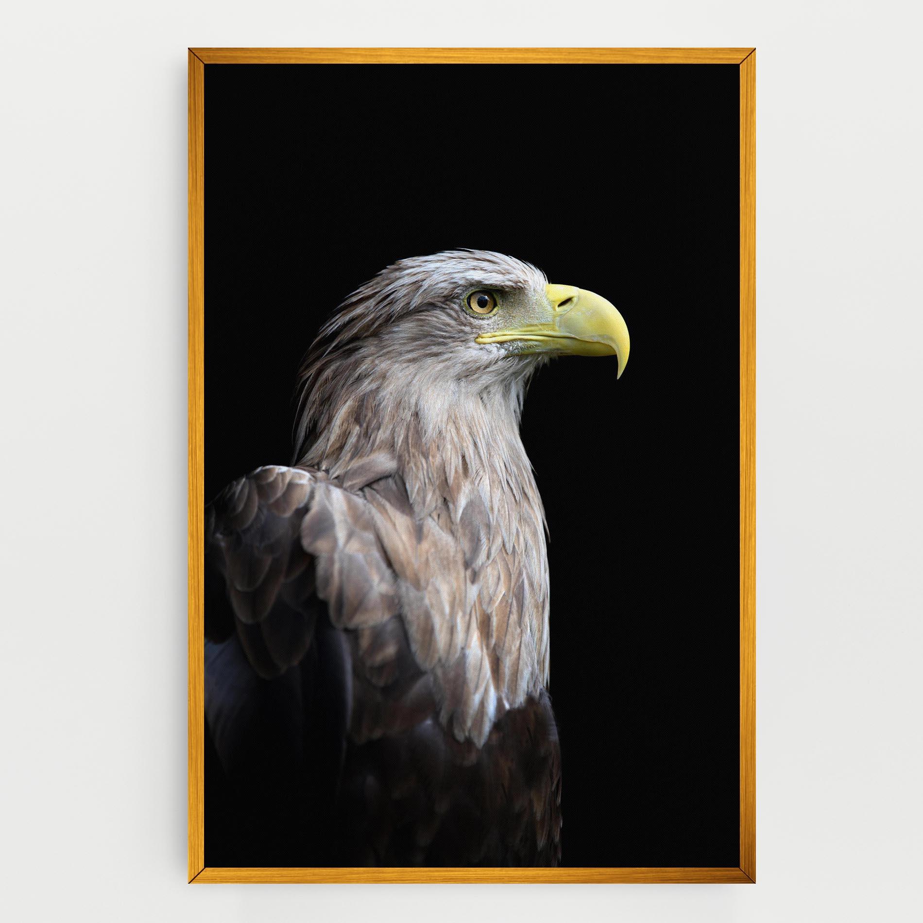 Tablou Canvas Close Up Eagle mockup 0