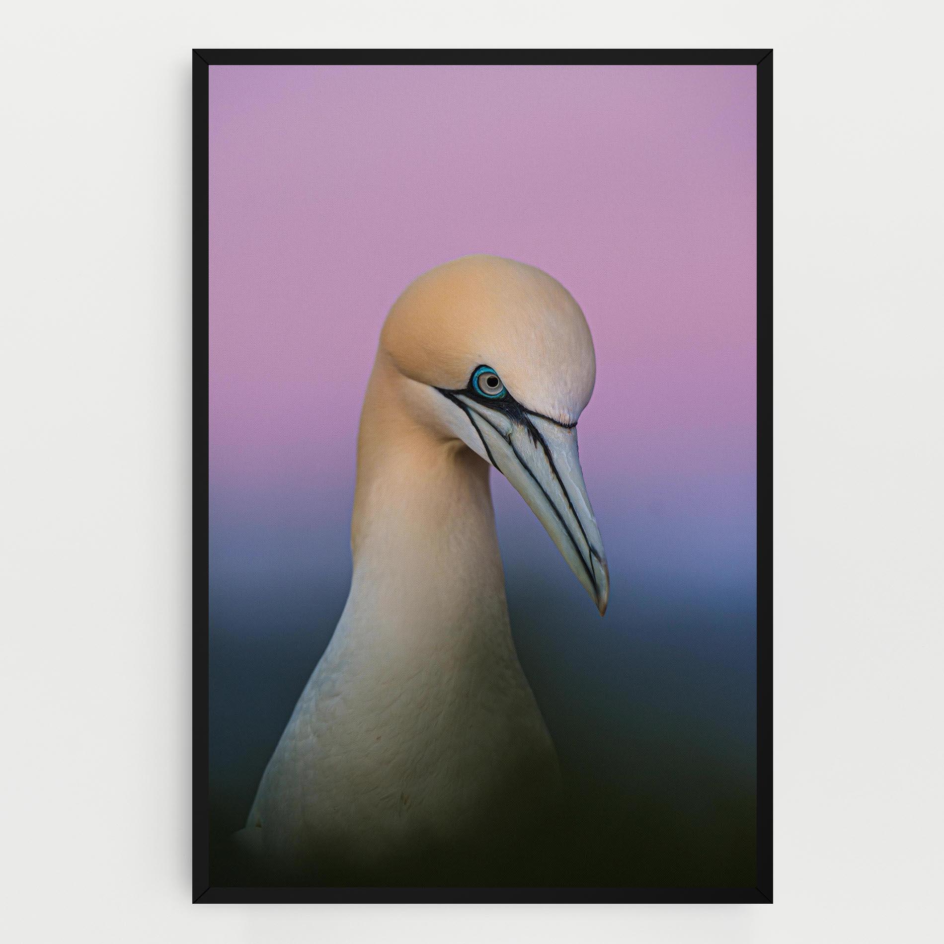 Tablou Canvas Bird Shades mockup 0