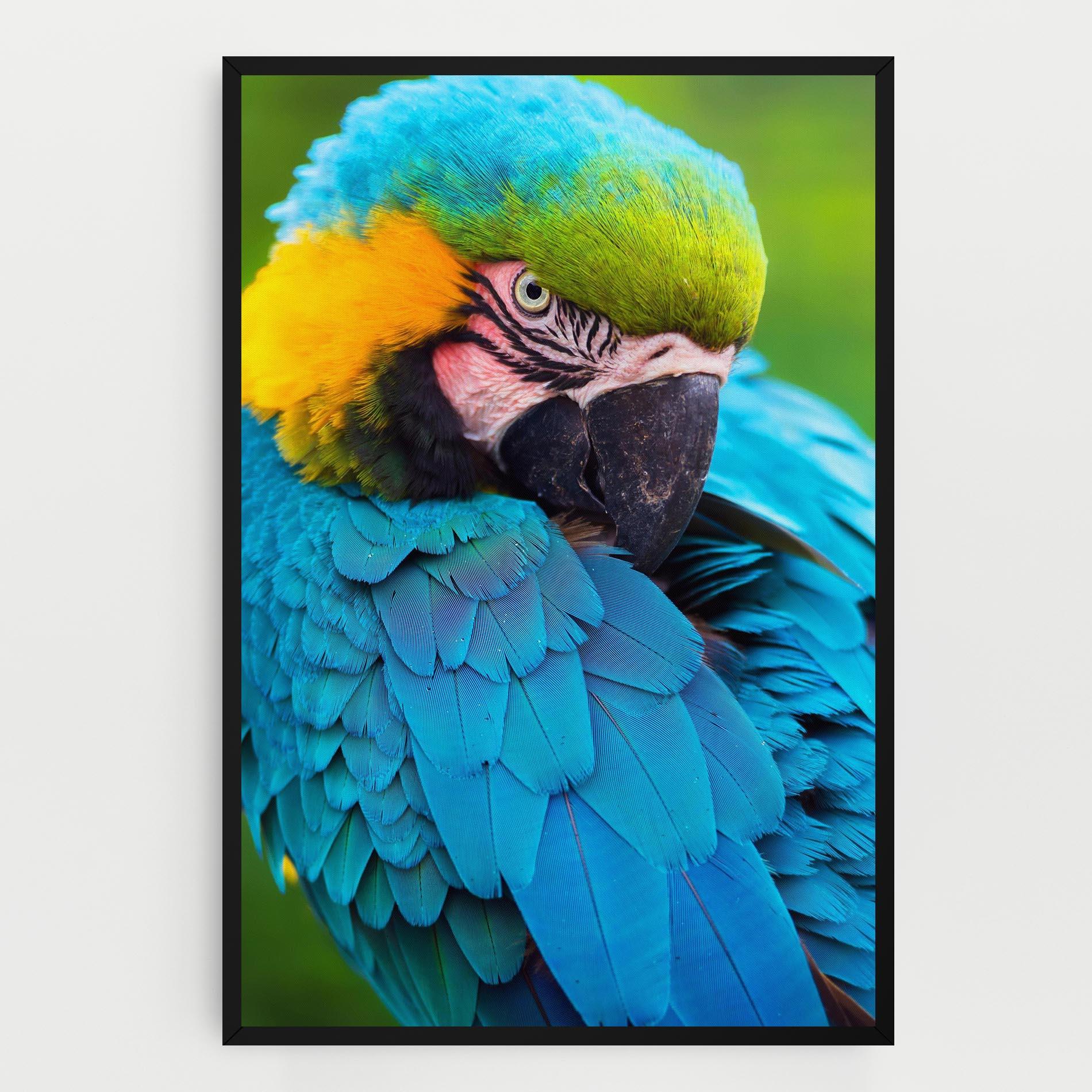 Tablou Canvas Blue Parrot mockup 0