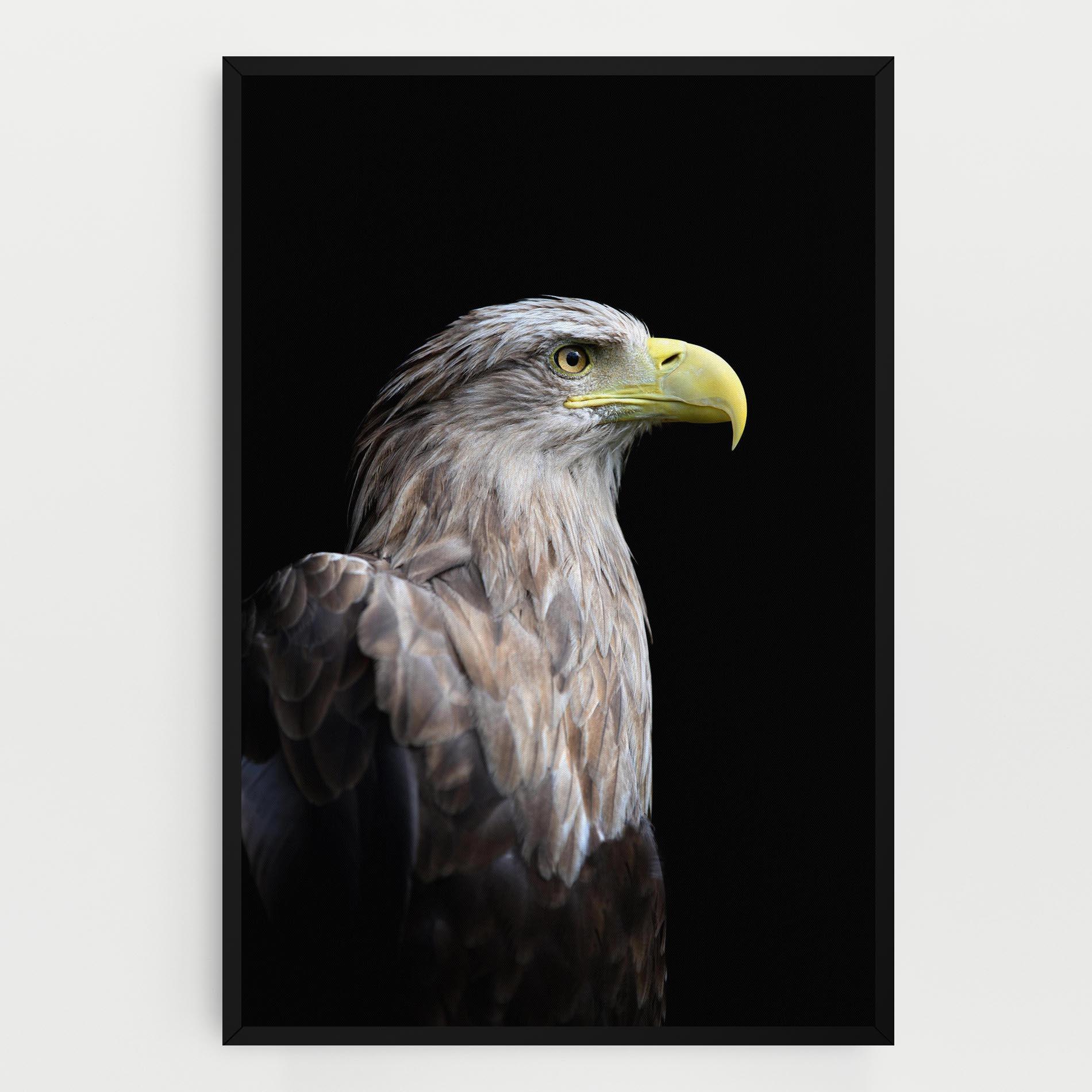 Tablou Canvas Close Up Eagle mockup 0