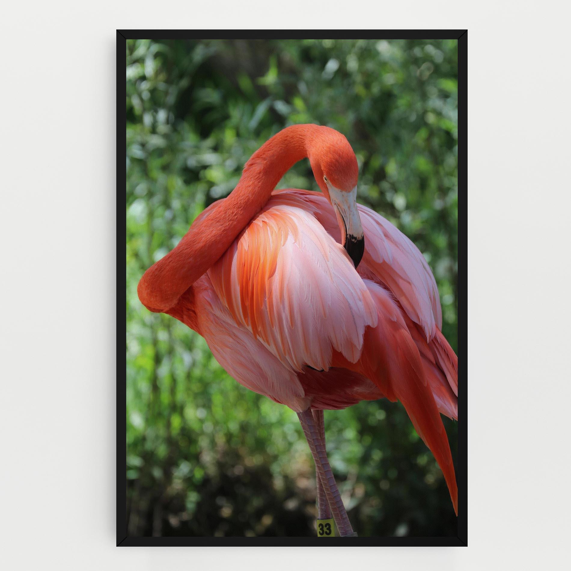 Tablou Canvas Red Flamingo mockup 0