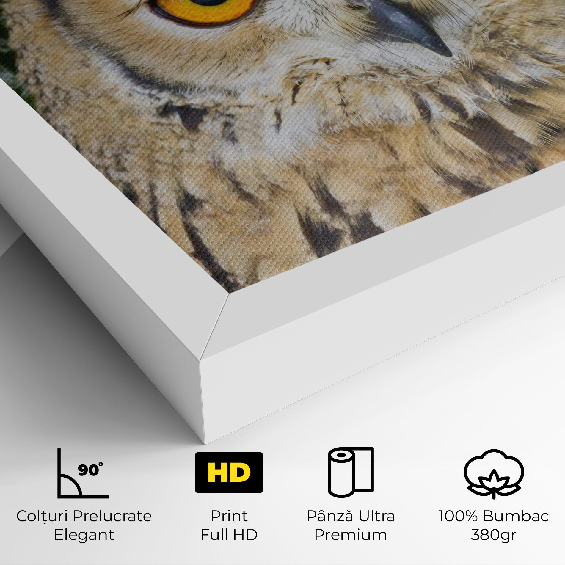 Tablou Canvas Angry Owl mockup 4