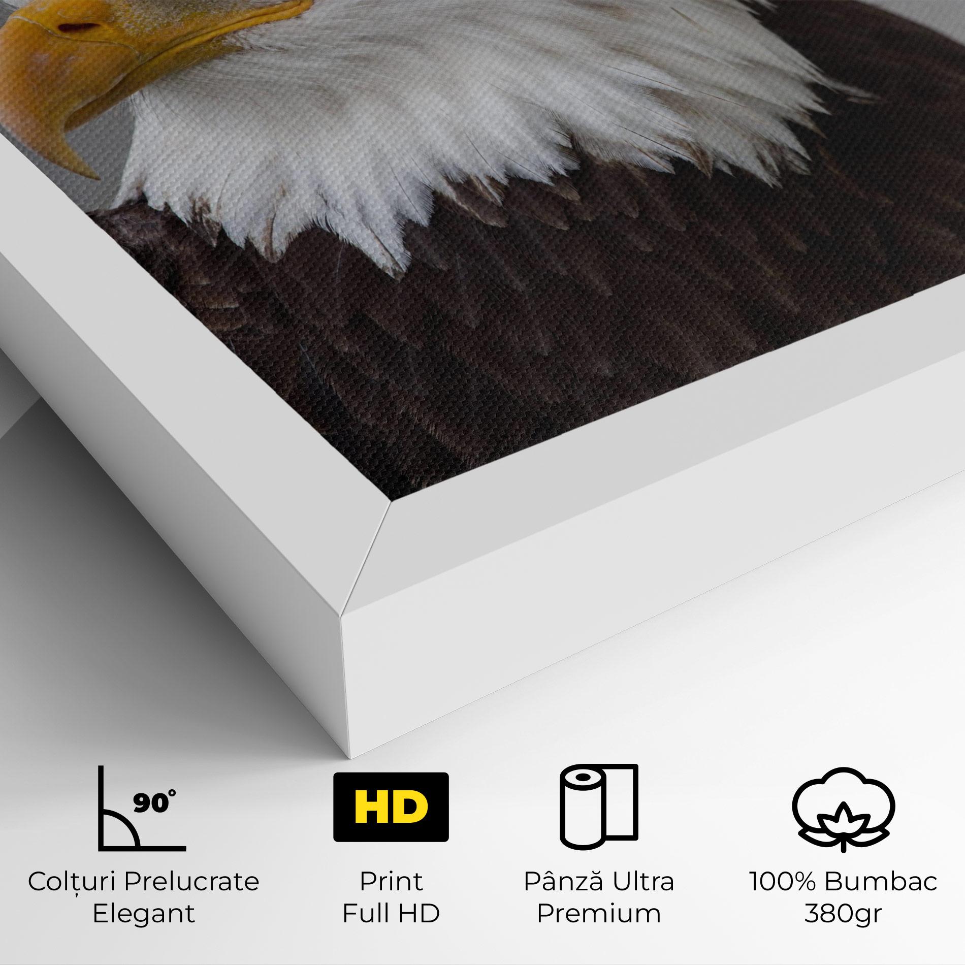 Tablou Canvas Beautiful Eagle mockup 4
