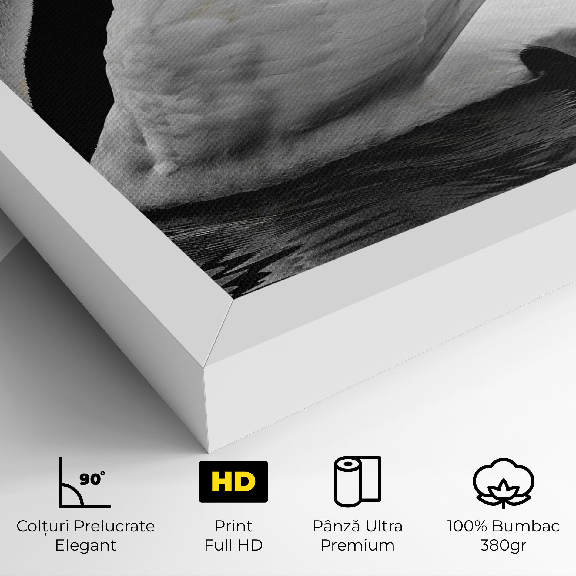 Tablou Canvas Black And White Swan mockup 4