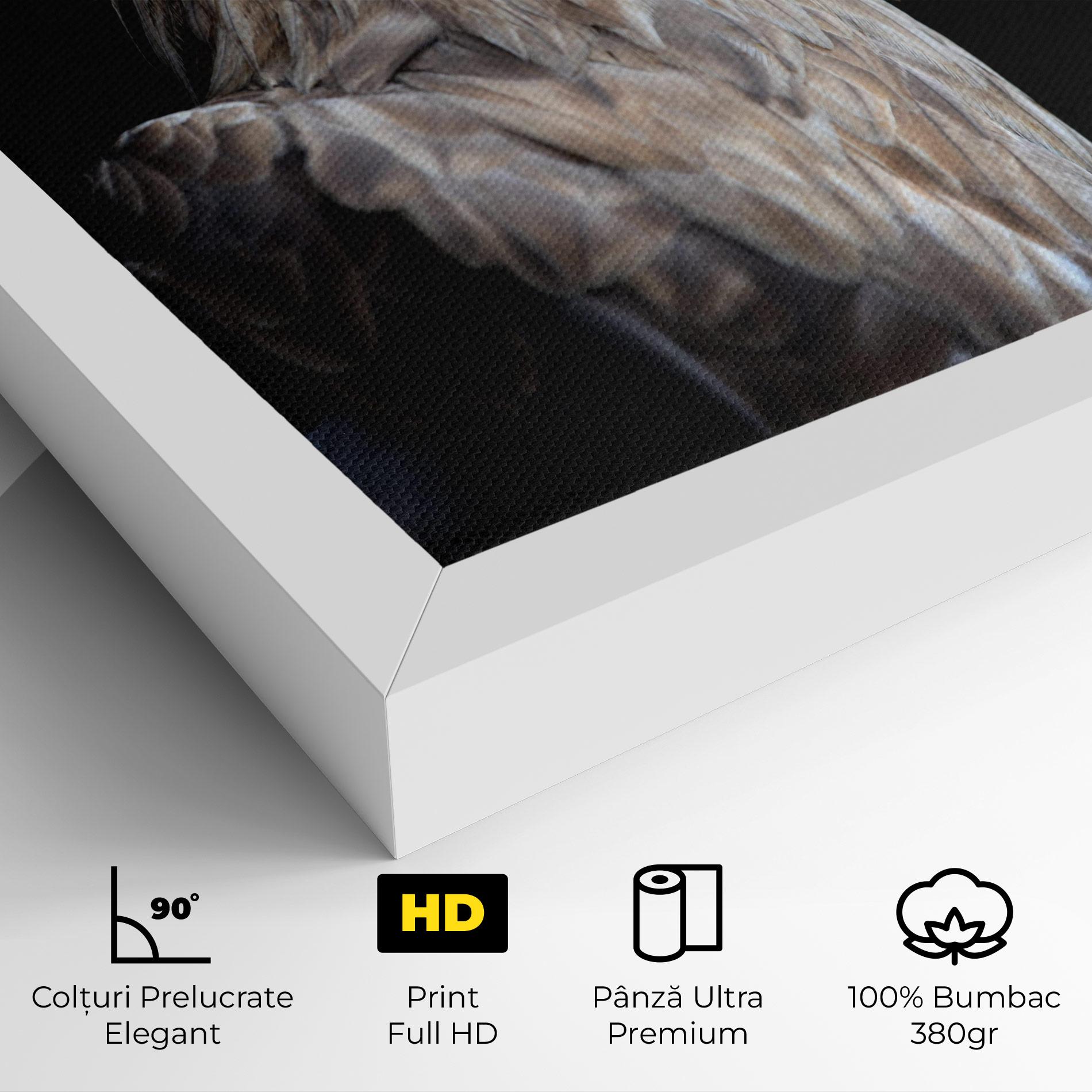 Tablou Canvas Close Up Eagle mockup 4