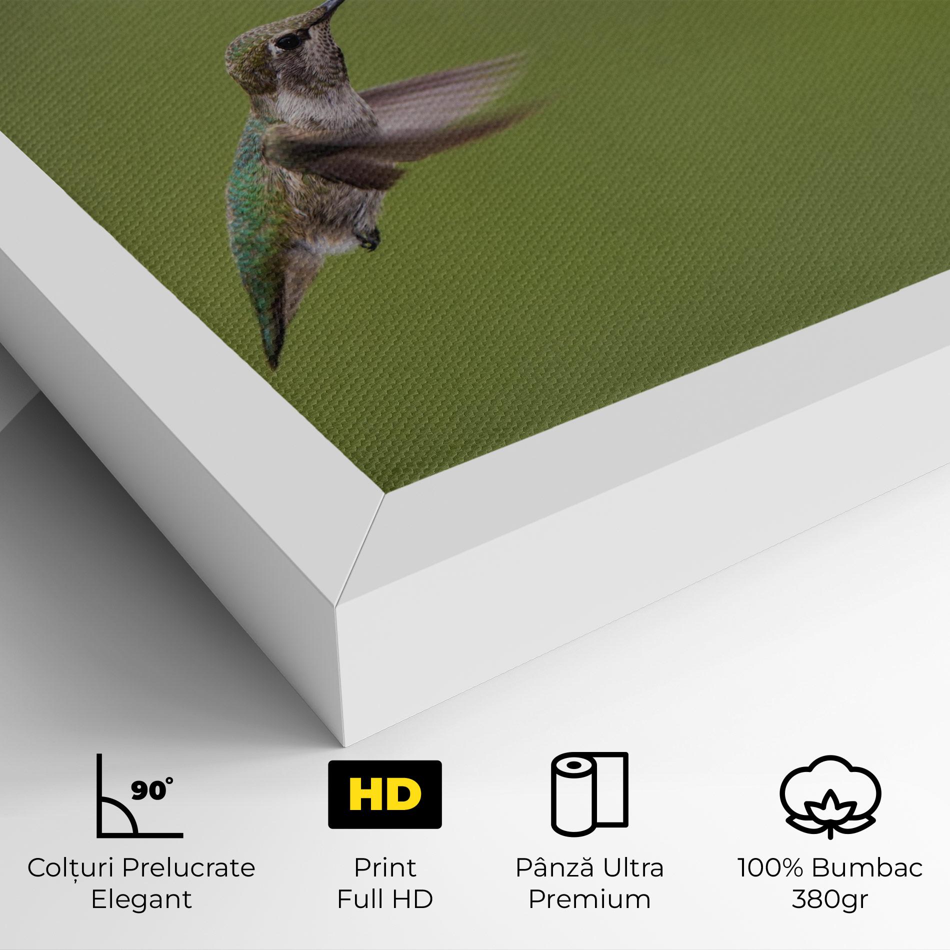Tablou Canvas Cute Hummingbird mockup 4