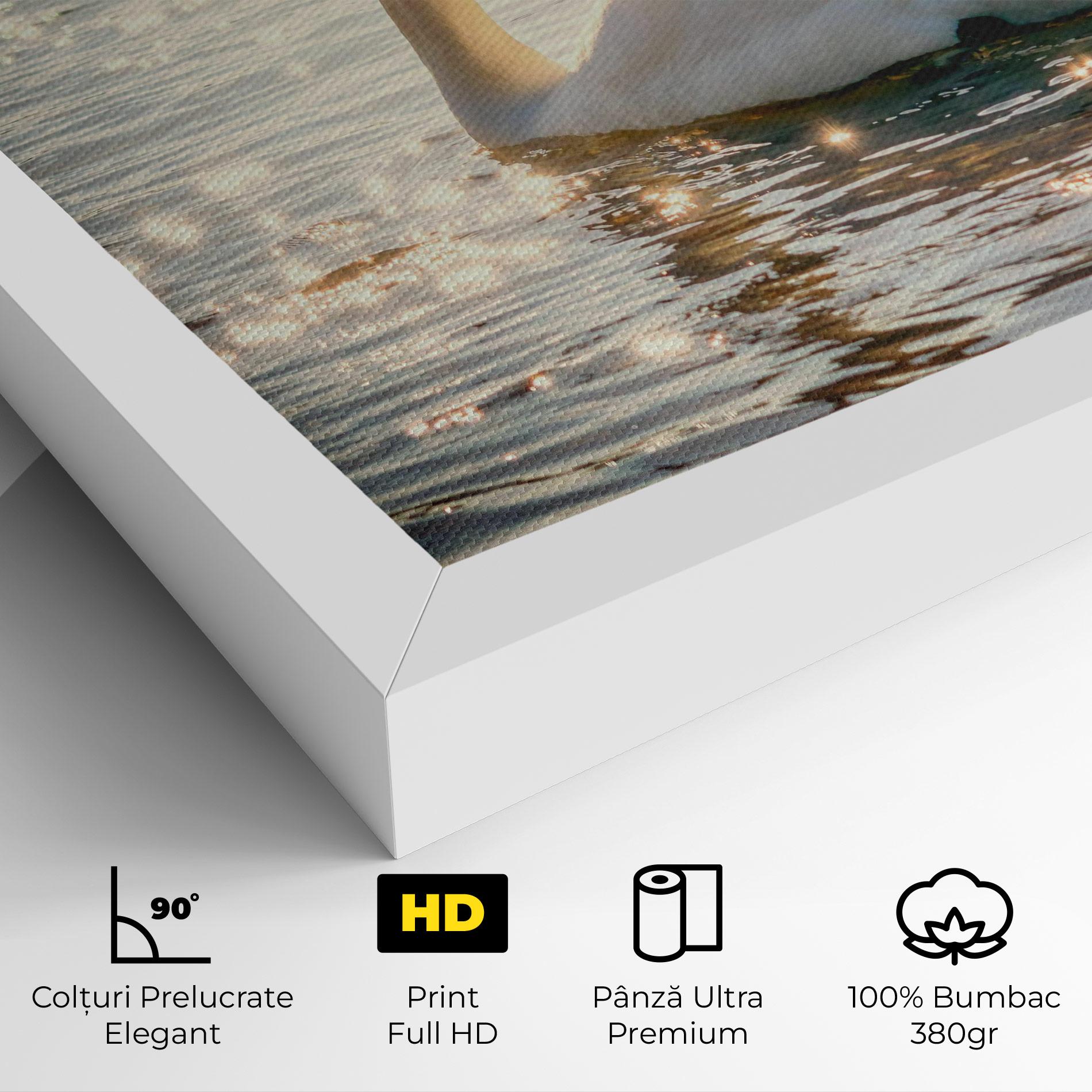 Tablou Canvas Swan On Lake mockup 4