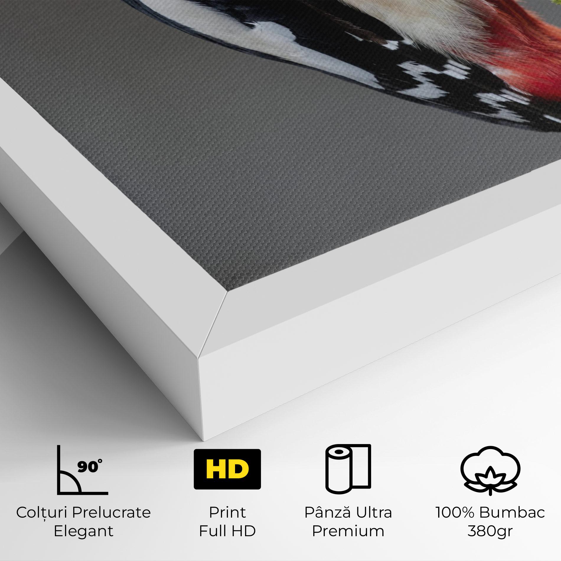 Tablou Canvas Woodpecker mockup 4