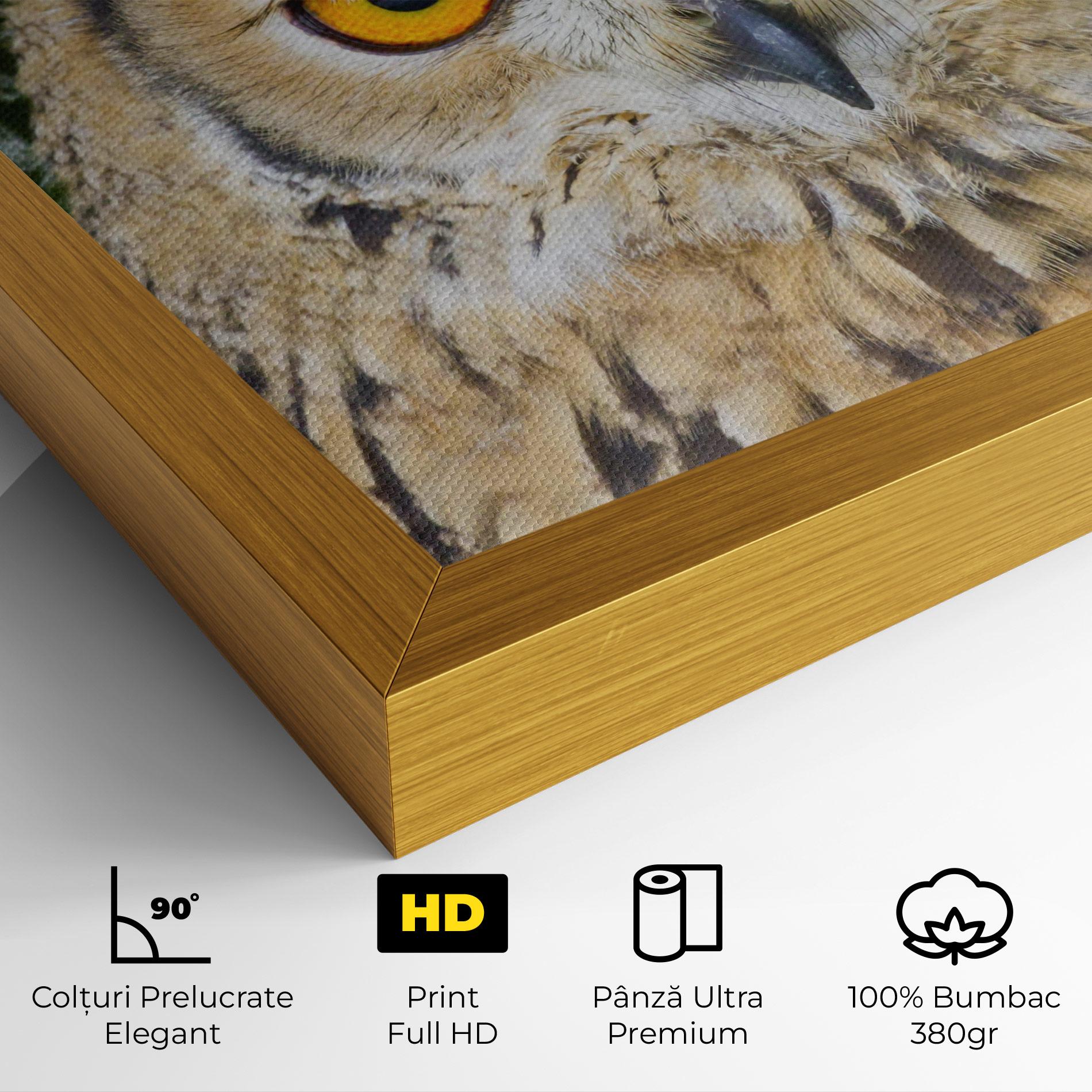 Tablou Canvas Angry Owl mockup 4
