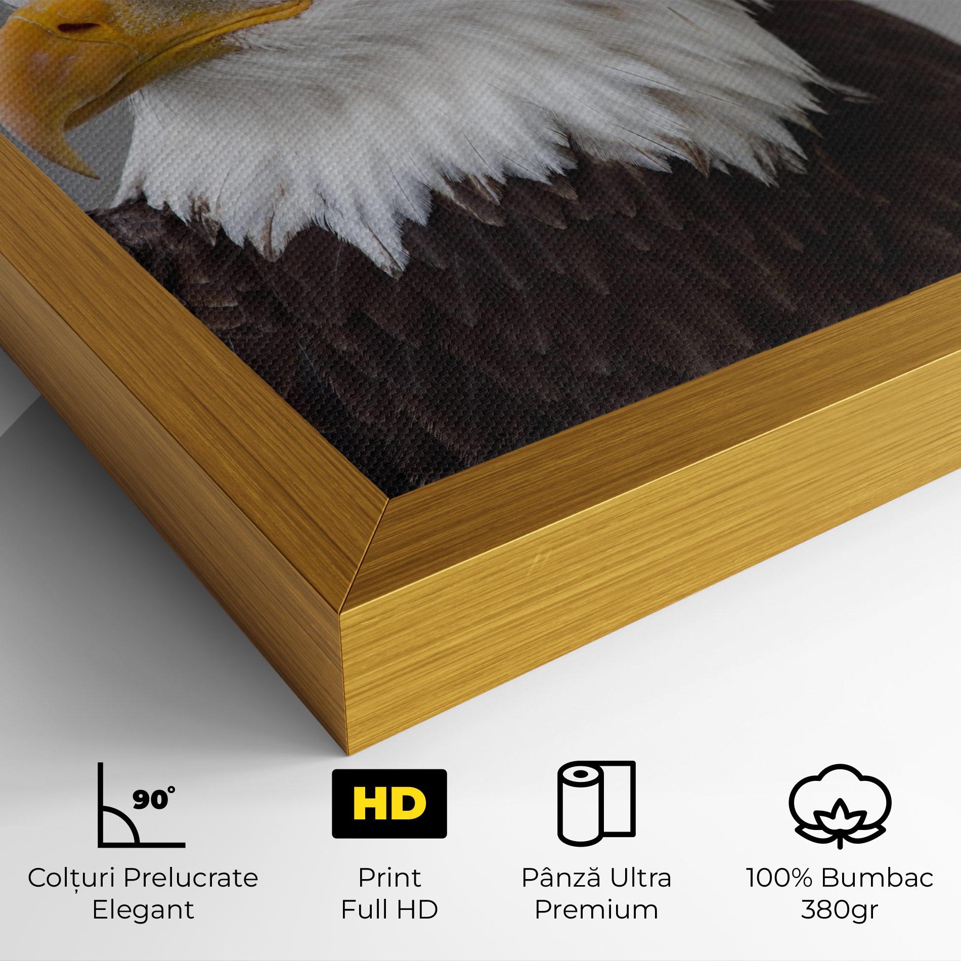 Tablou Canvas Beautiful Eagle mockup 4