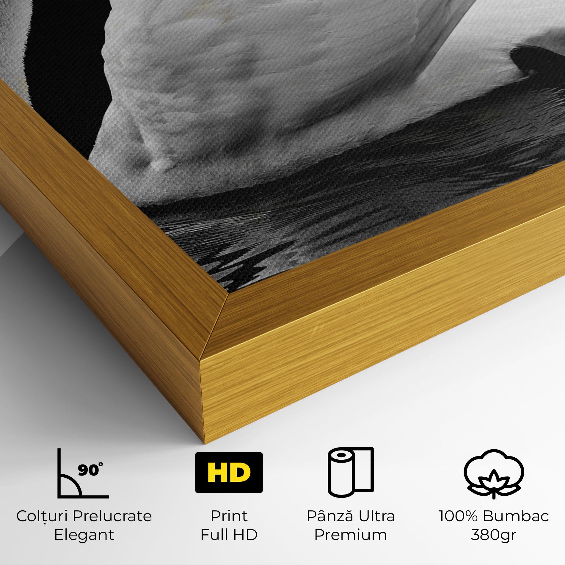 Tablou Canvas Black And White Swan mockup 4