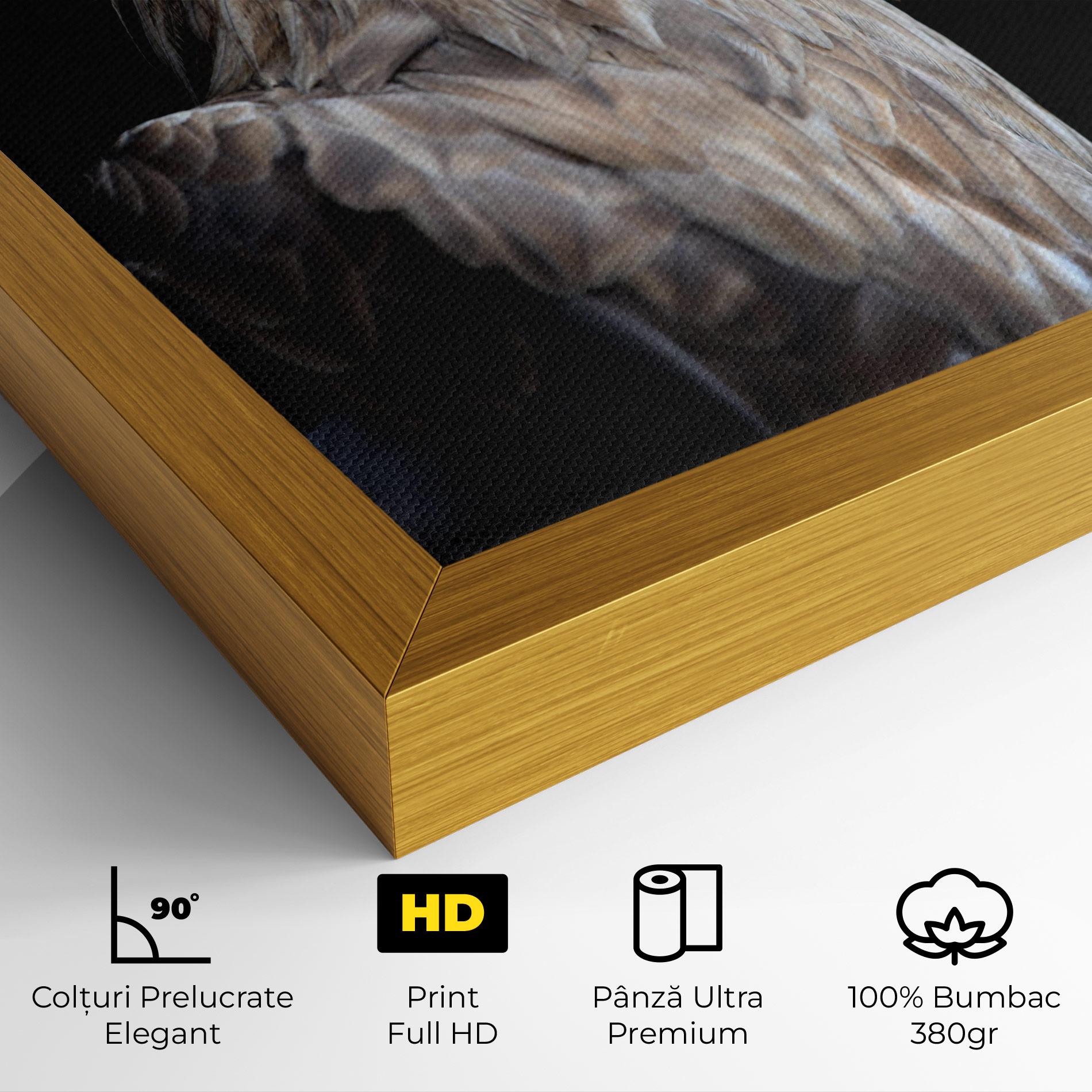 Tablou Canvas Close Up Eagle mockup 4