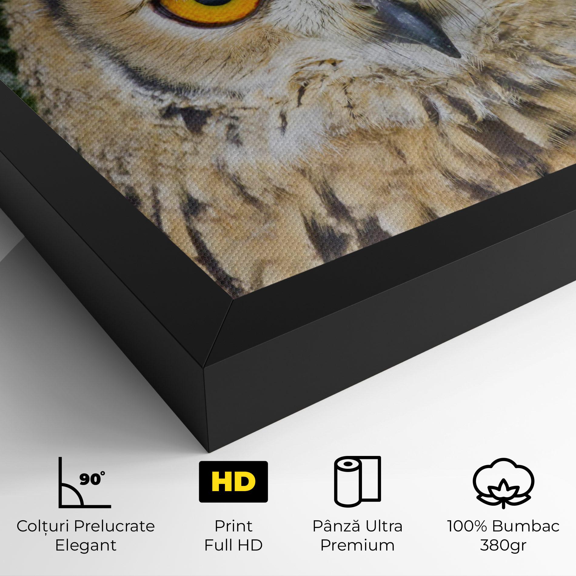 Tablou Canvas Angry Owl mockup 4