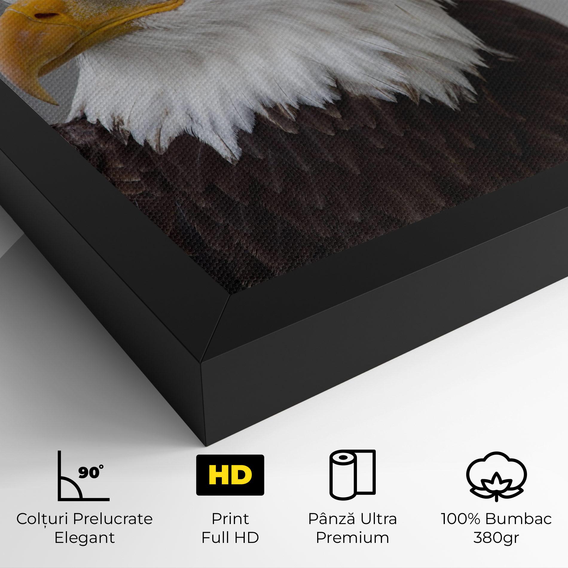 Tablou Canvas Beautiful Eagle mockup 4