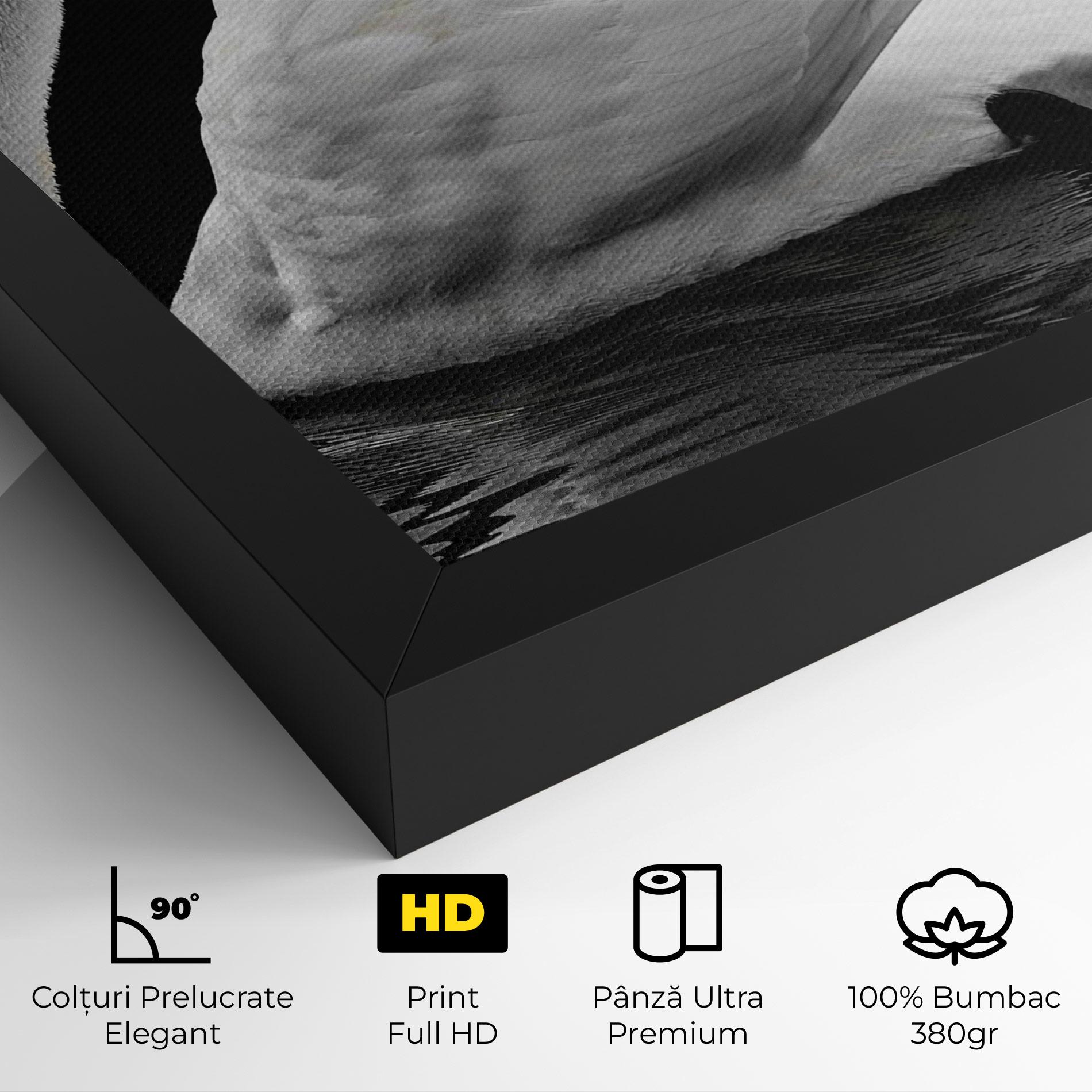 Tablou Canvas Black And White Swan mockup 4