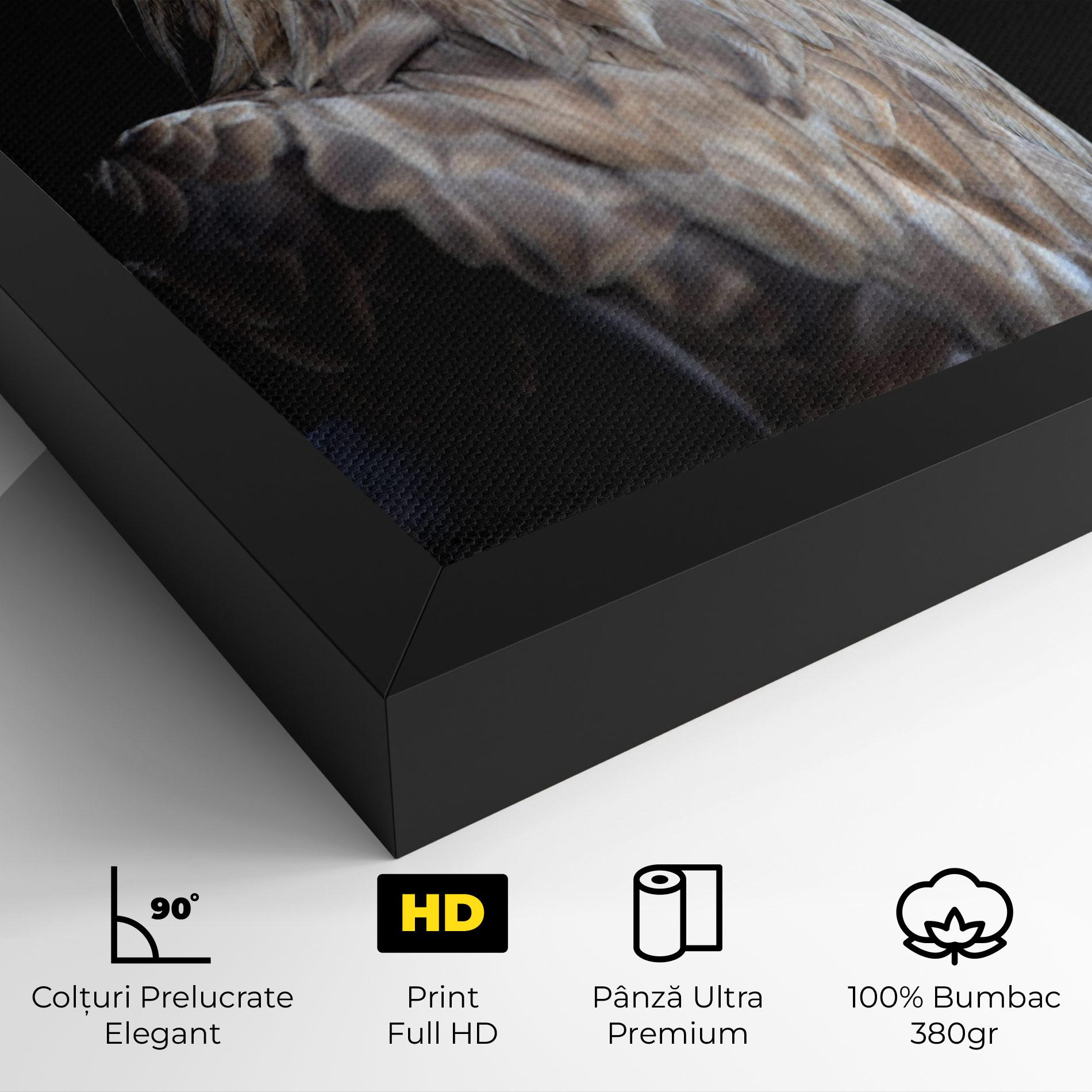 Tablou Canvas Close Up Eagle mockup 4
