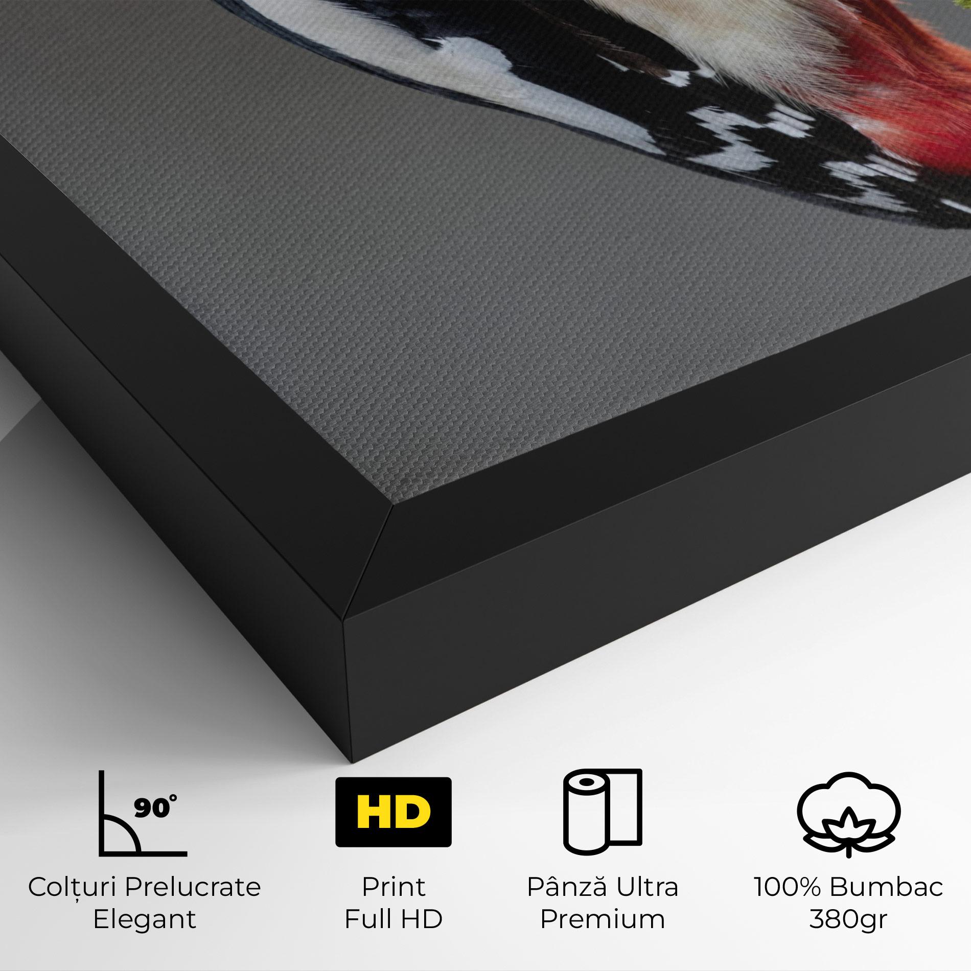 Tablou Canvas Woodpecker mockup 4