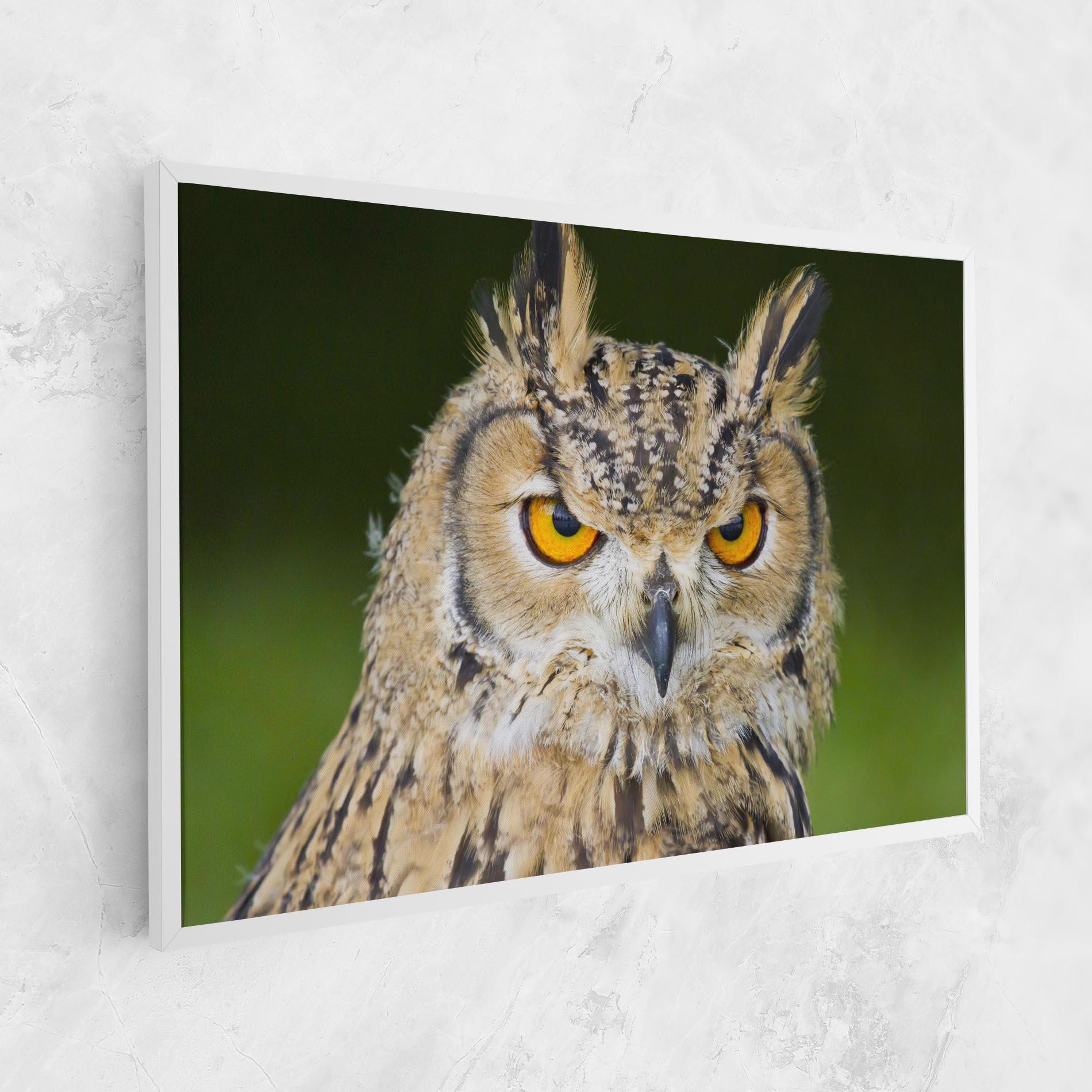 Tablou Canvas Angry Owl mockup 1
