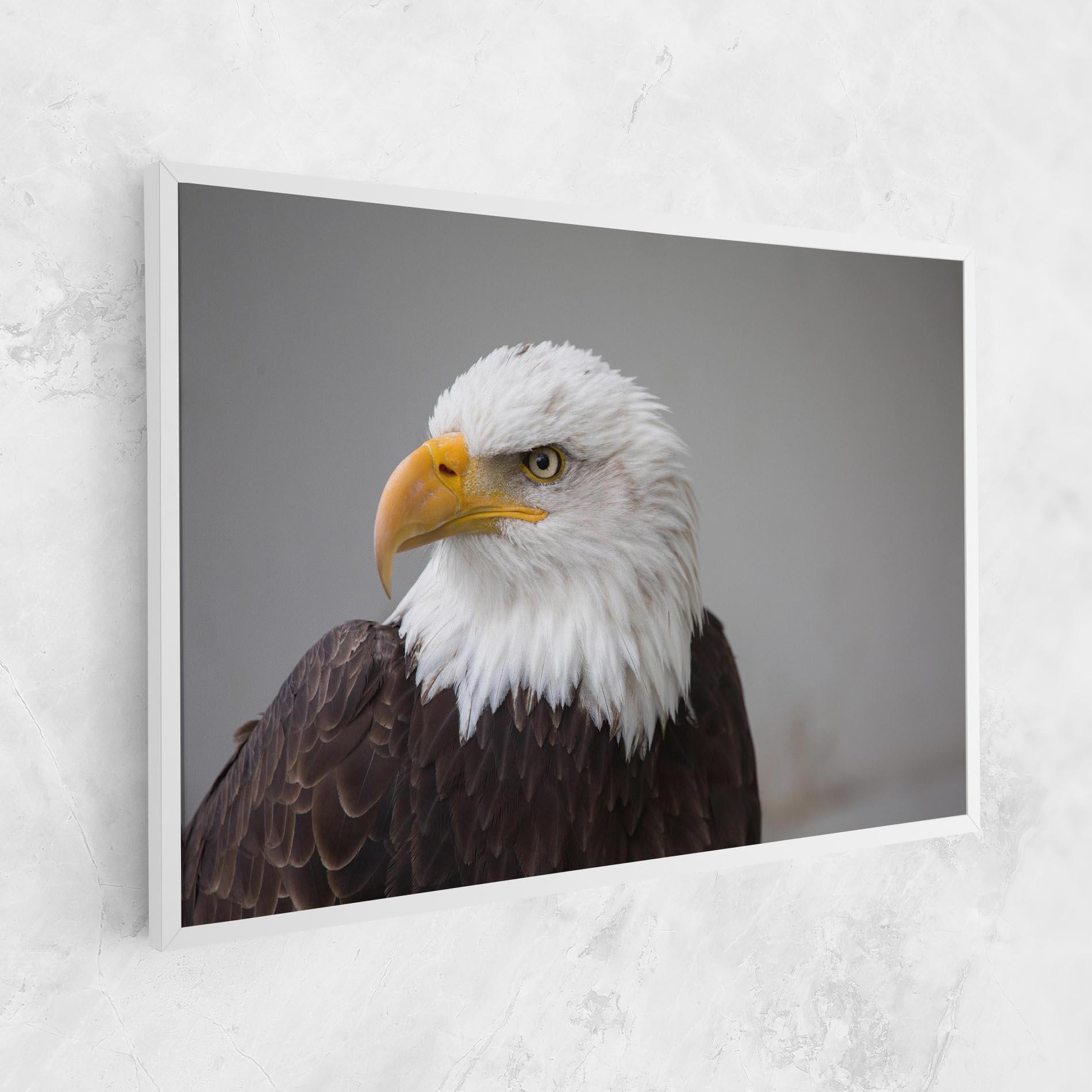 Tablou Canvas Beautiful Eagle mockup 1