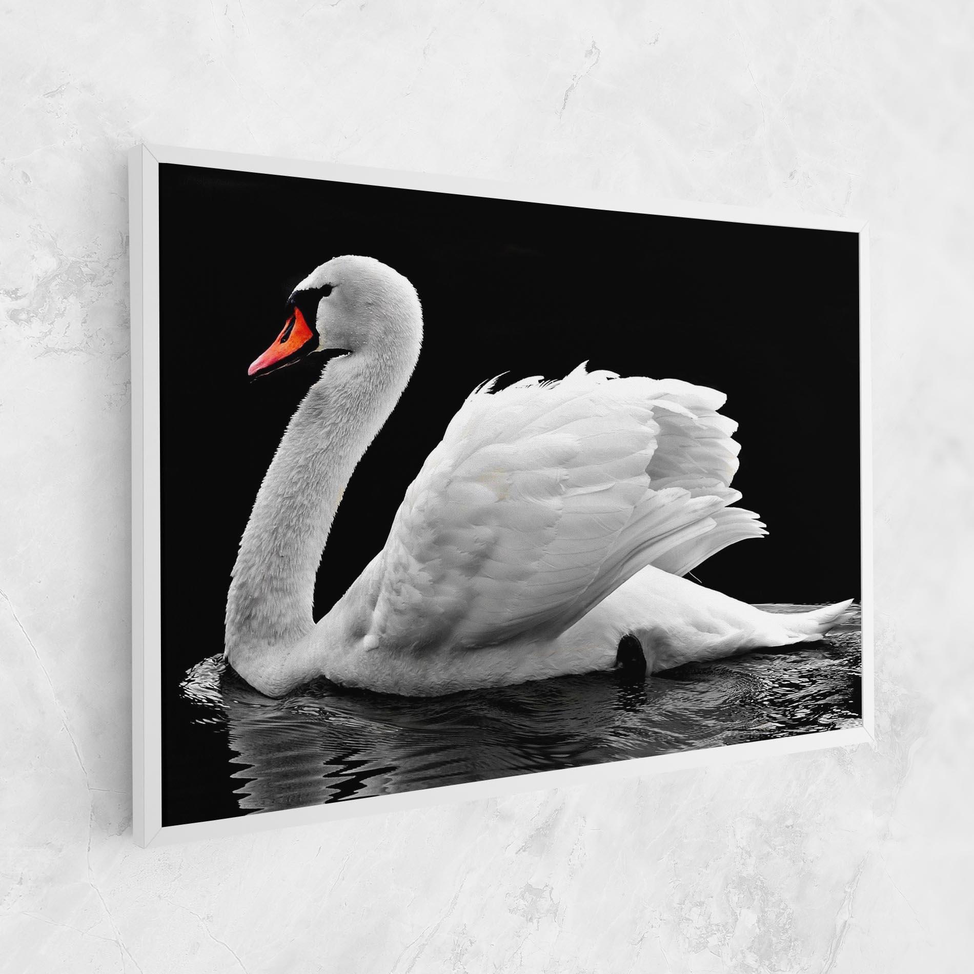 Tablou Canvas Black And White Swan mockup 1