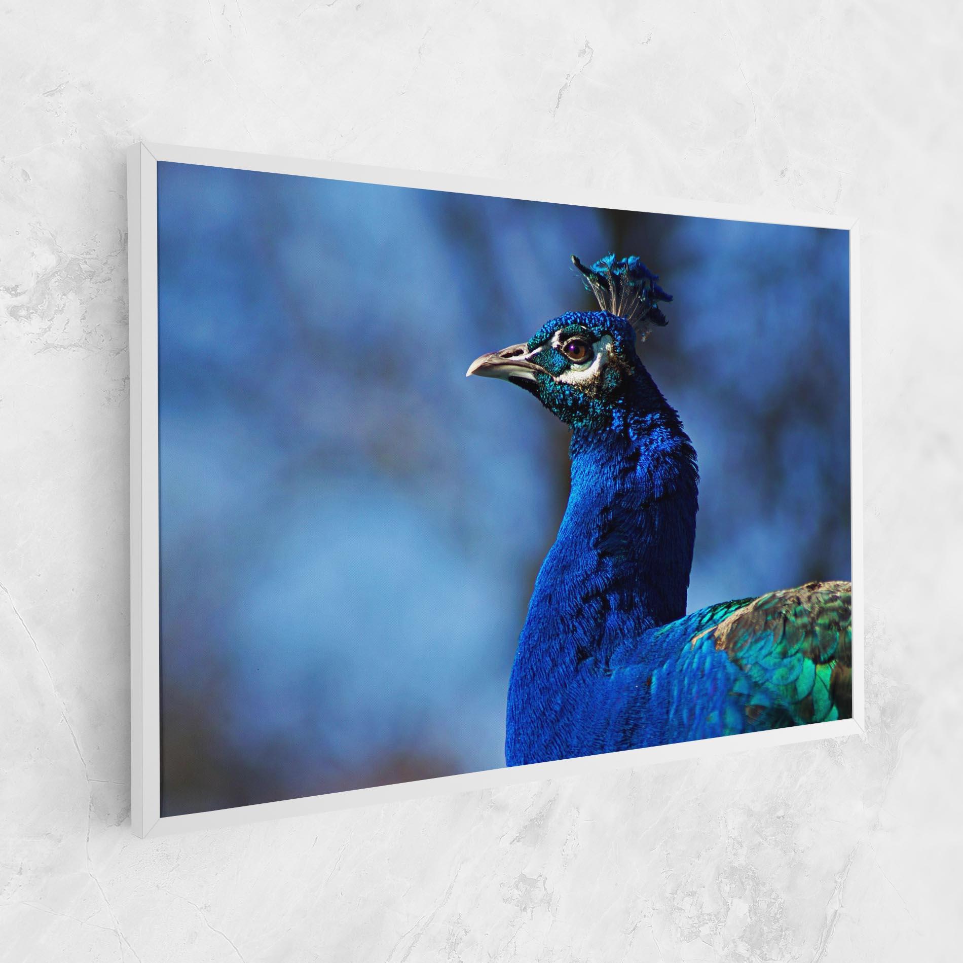 Tablou Canvas Blue Bird mockup 1