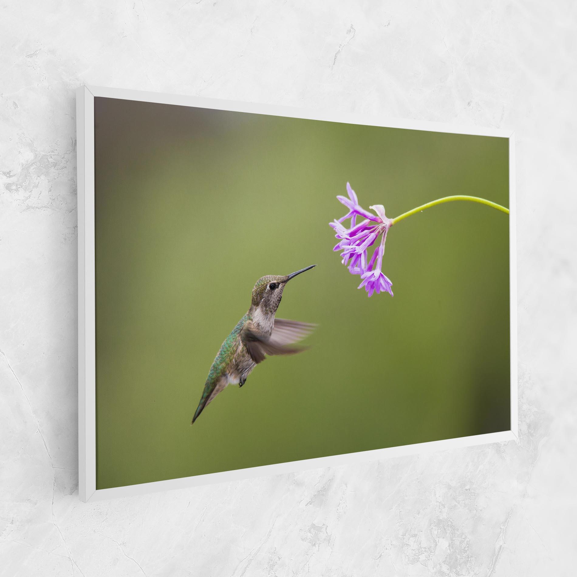 Tablou Canvas Cute Hummingbird mockup 1