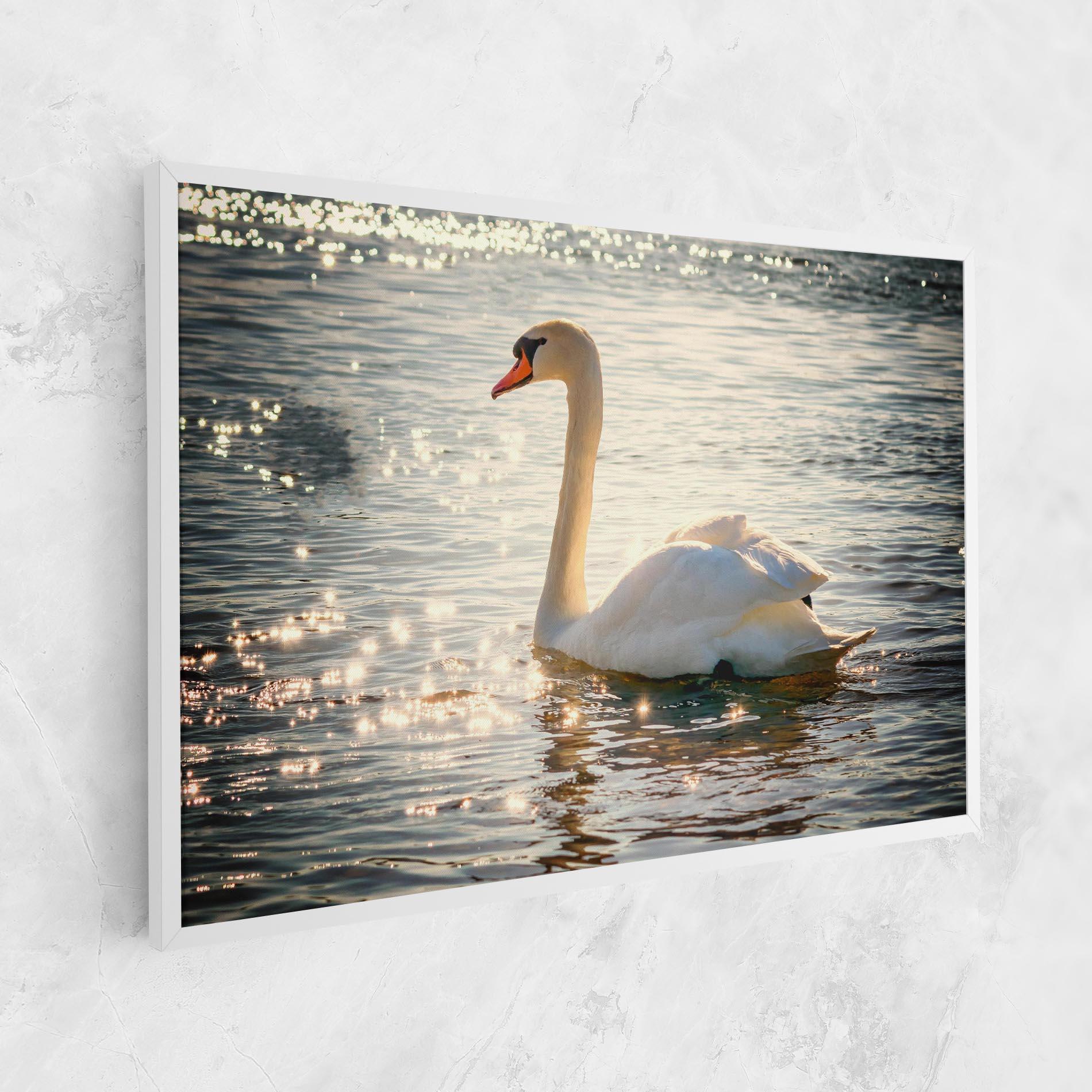 Tablou Canvas Swan On Lake mockup 1