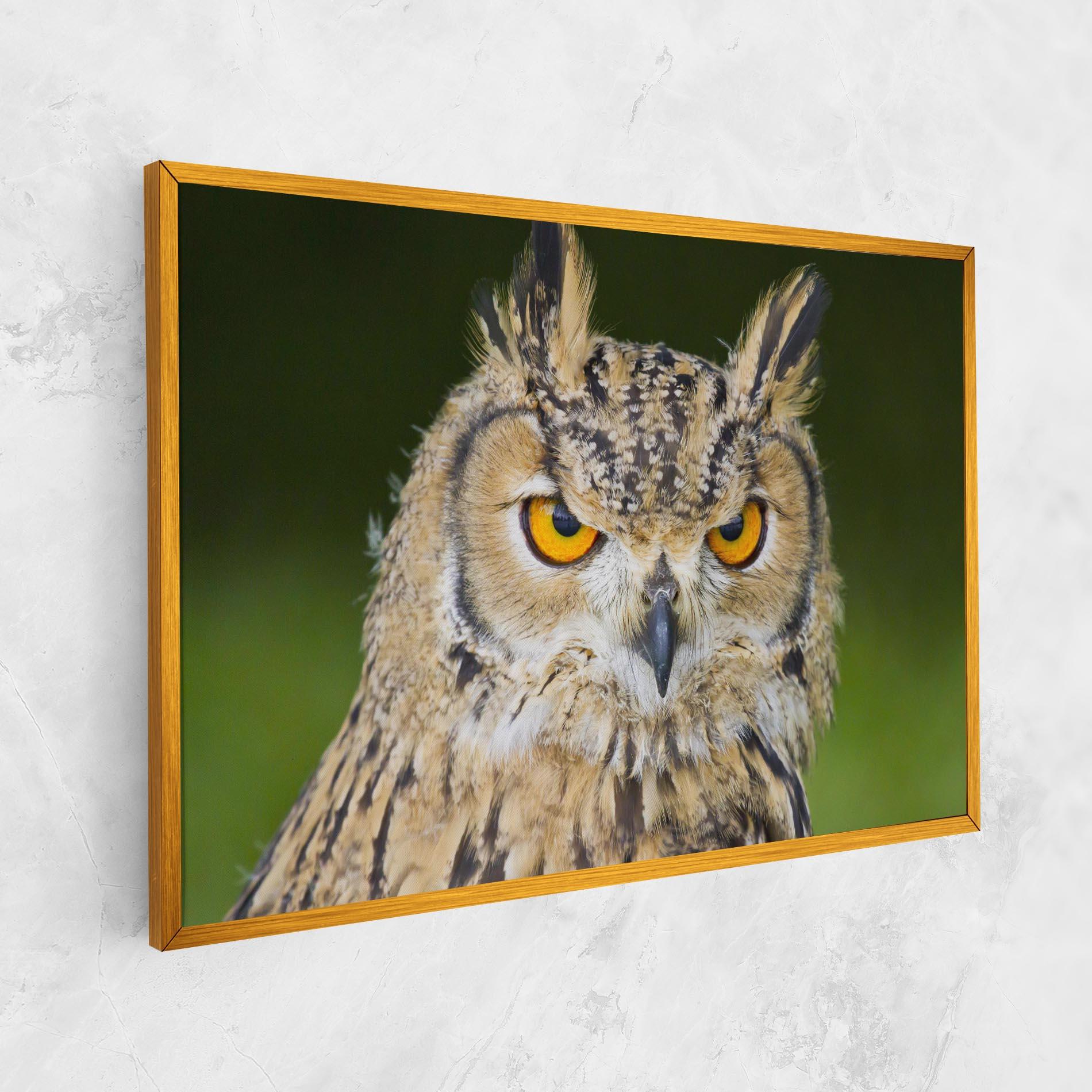 Tablou Canvas Angry Owl mockup 1