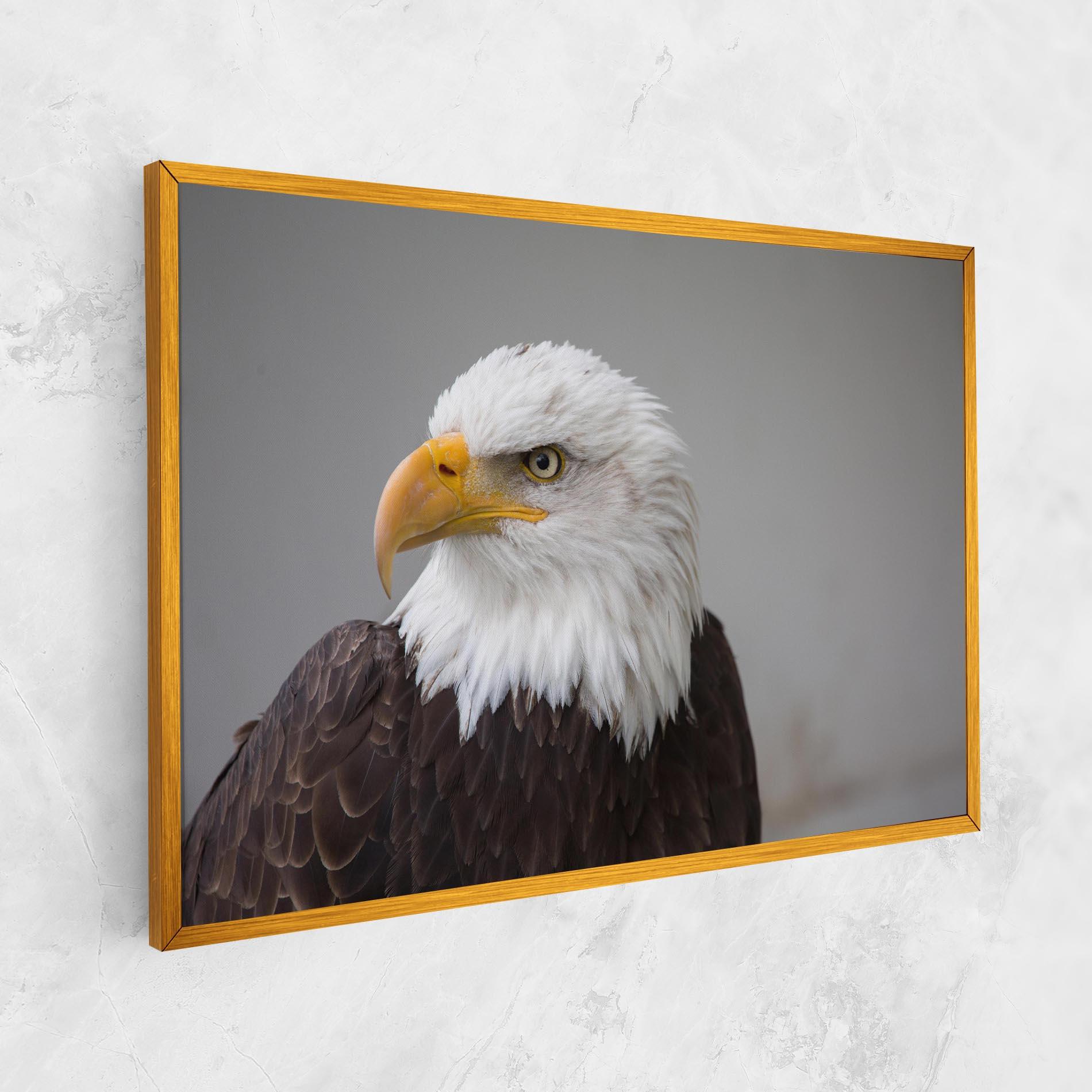 Tablou Canvas Beautiful Eagle mockup 1