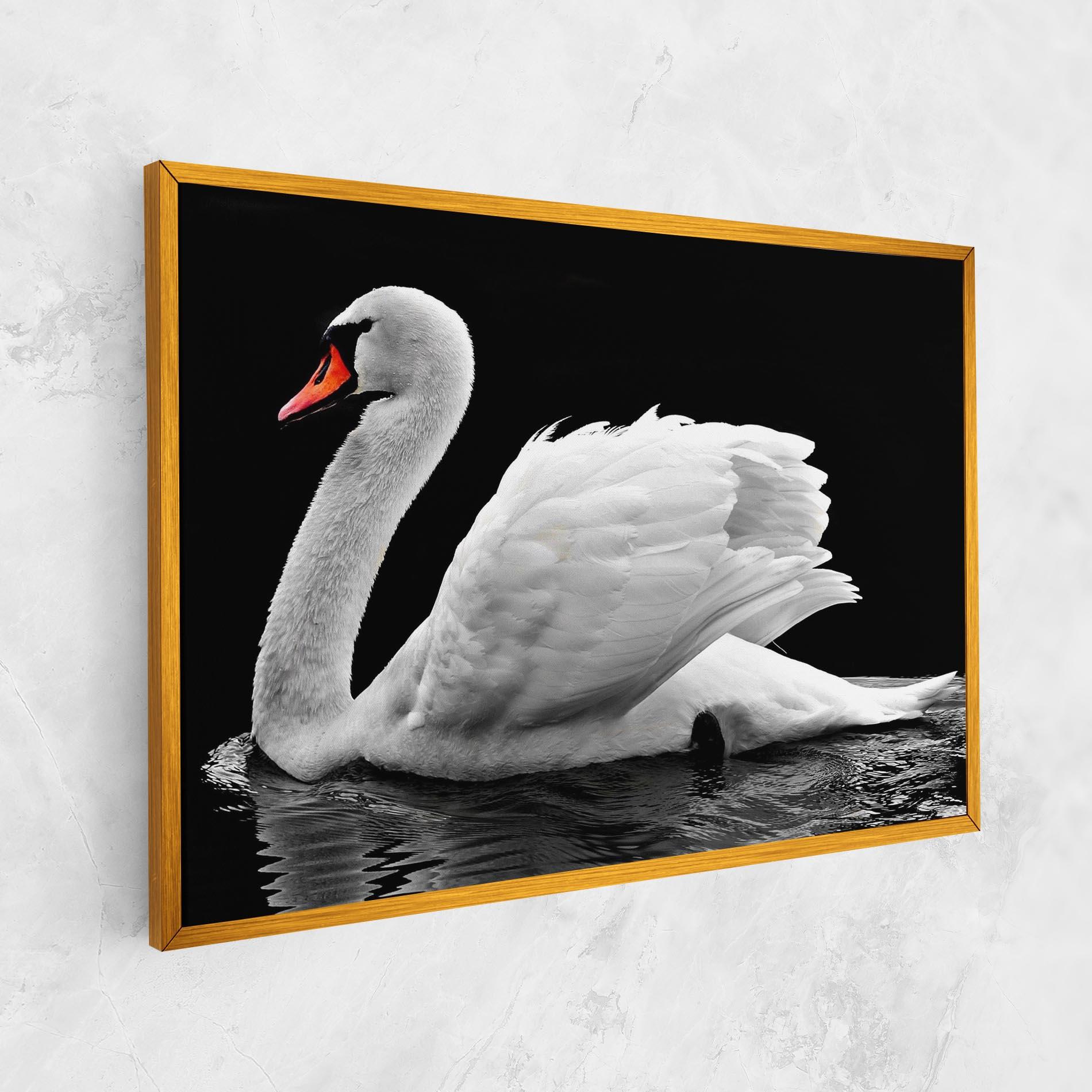 Tablou Canvas Black And White Swan mockup 1