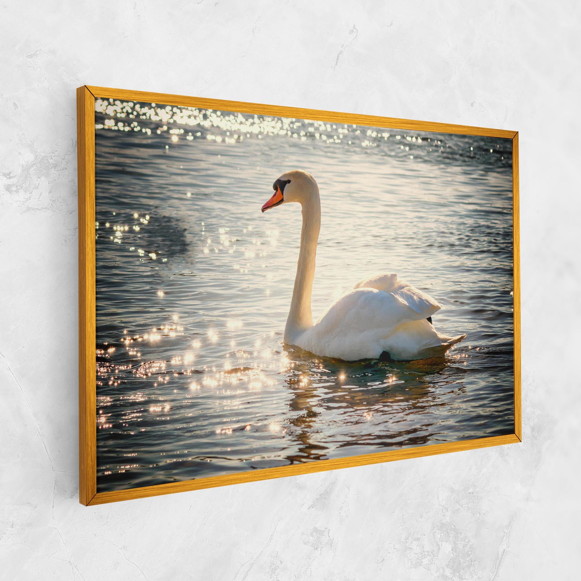 Tablou Canvas Swan On Lake mockup 1
