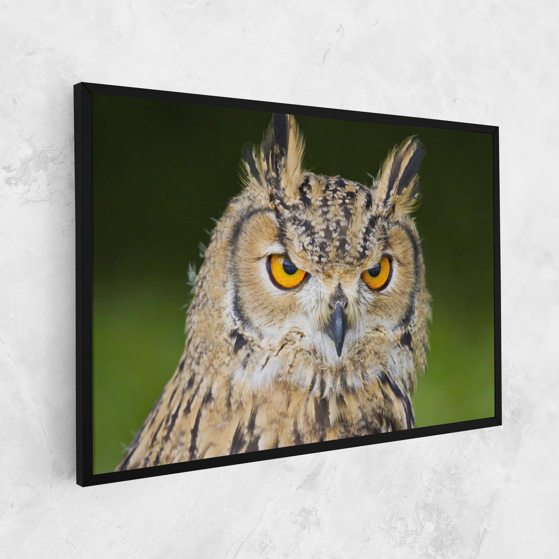 Tablou Canvas Angry Owl mockup 1