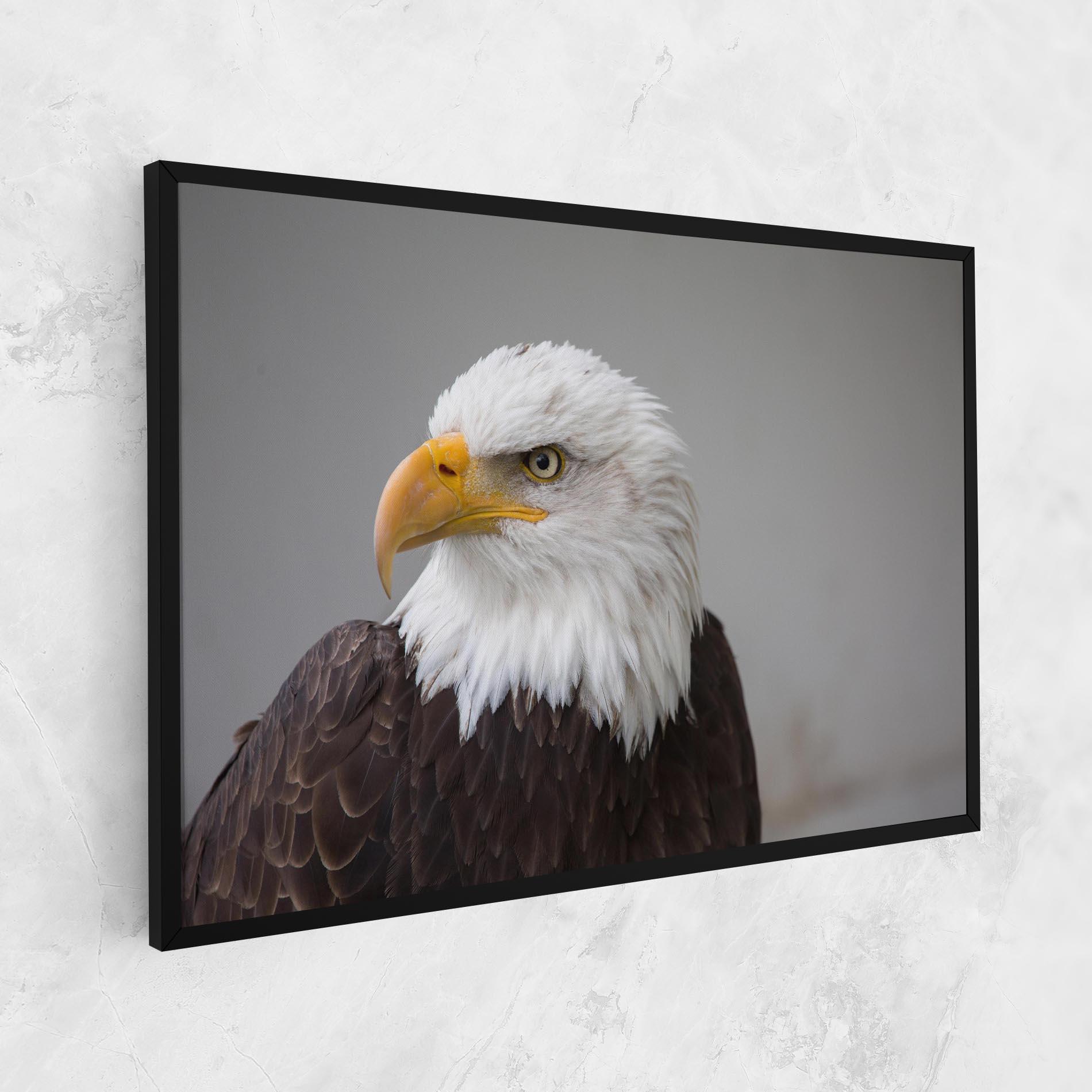Tablou Canvas Beautiful Eagle mockup 1