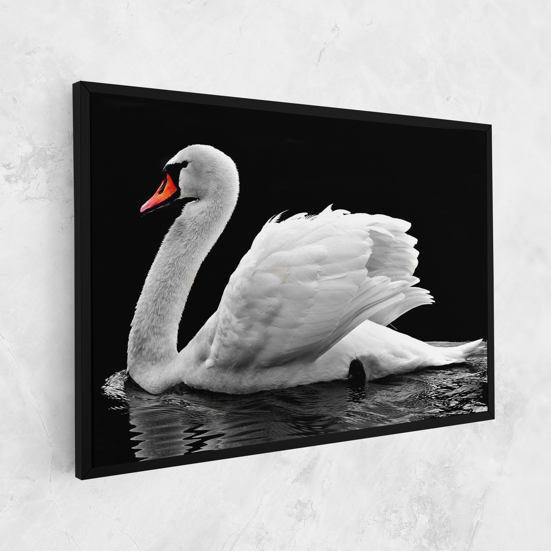 Tablou Canvas Black And White Swan mockup 1