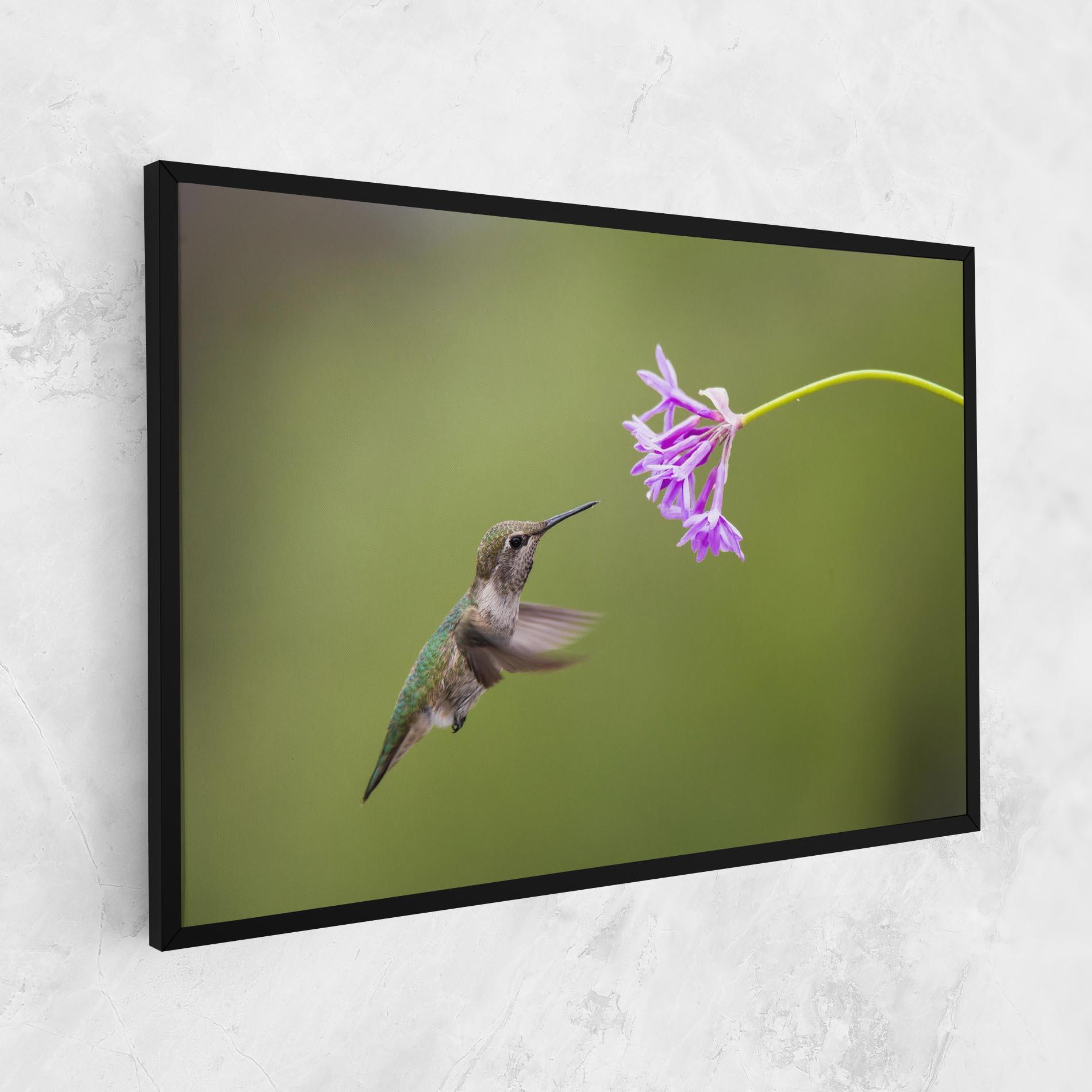 Tablou Canvas Cute Hummingbird mockup 1