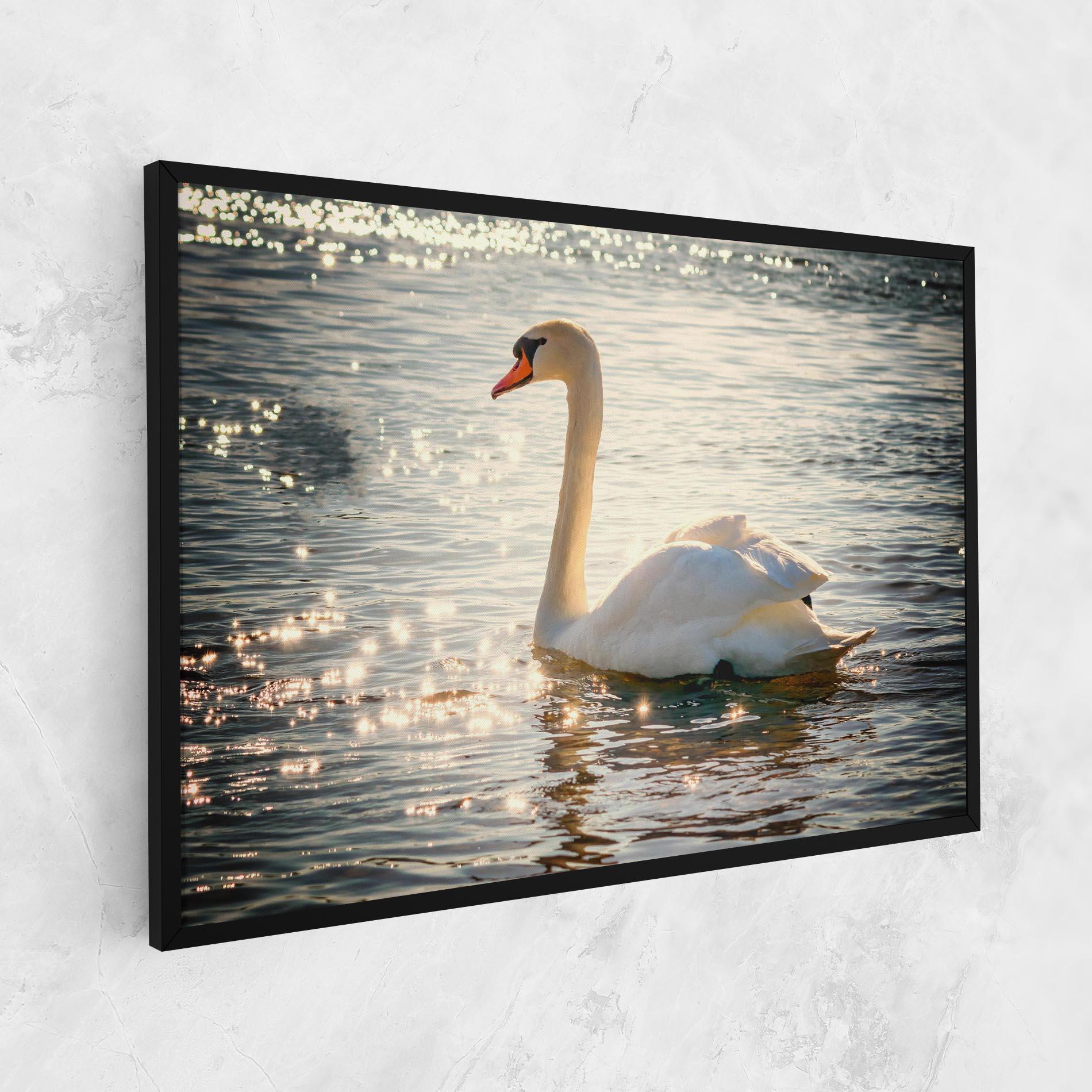 Tablou Canvas Swan On Lake mockup 1