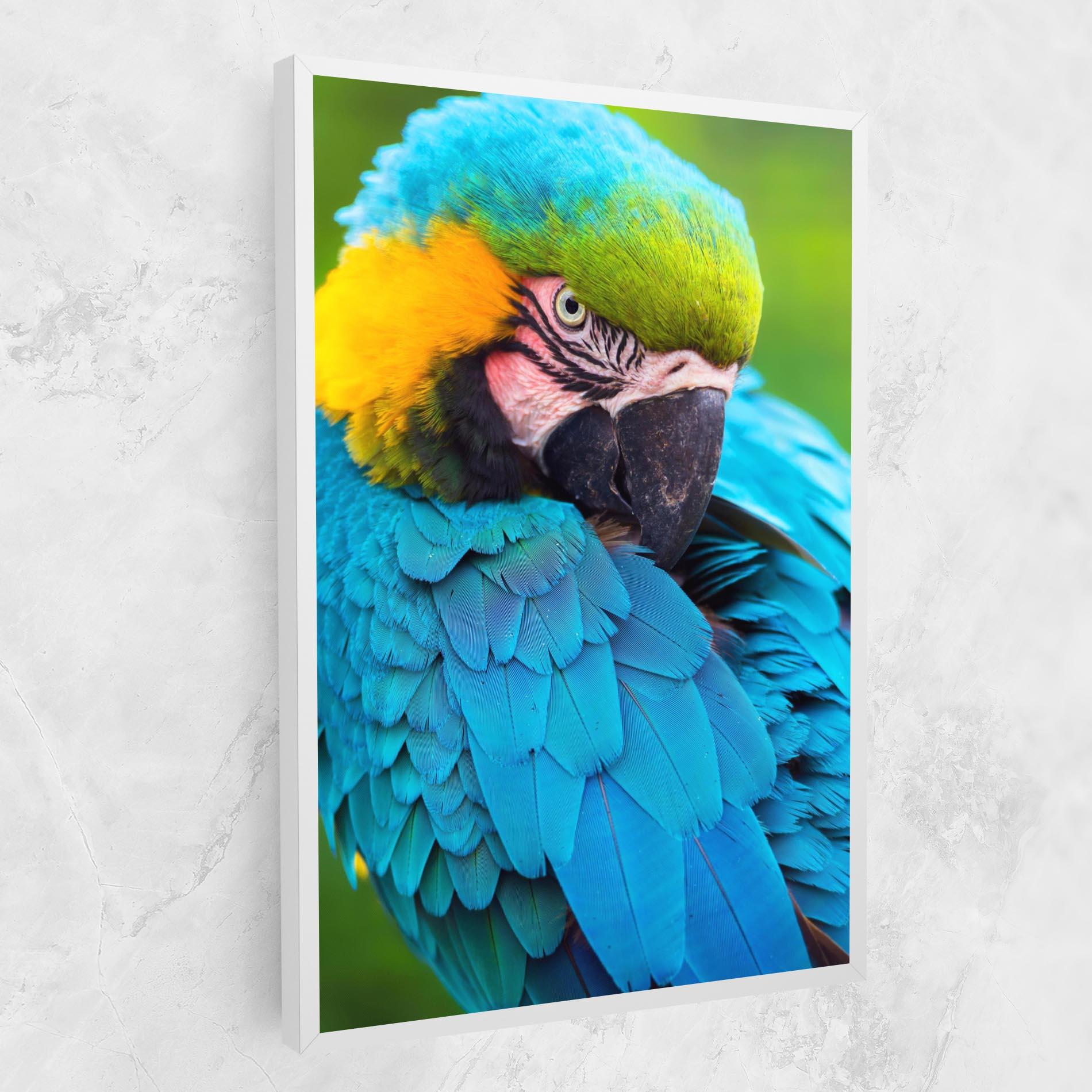 Tablou Canvas Blue Parrot mockup 1