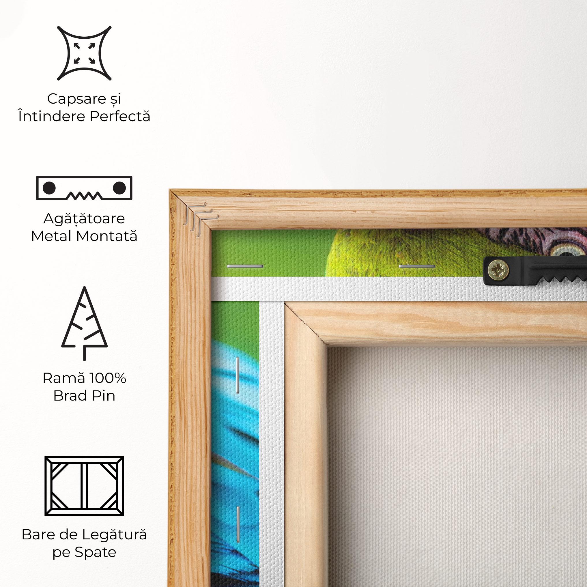 Tablou Canvas Blue Parrot mockup 5