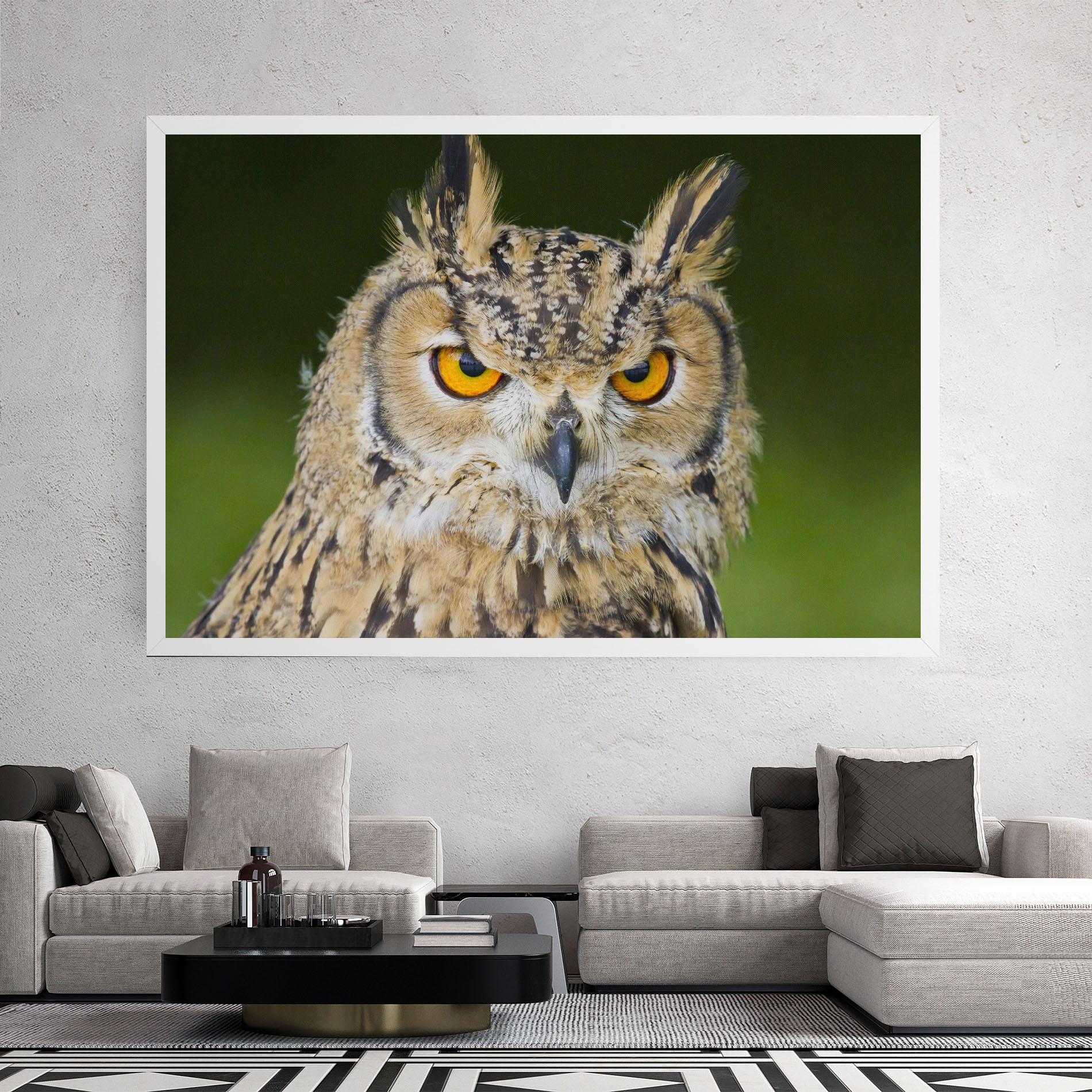 Tablou Canvas Angry Owl mockup 2