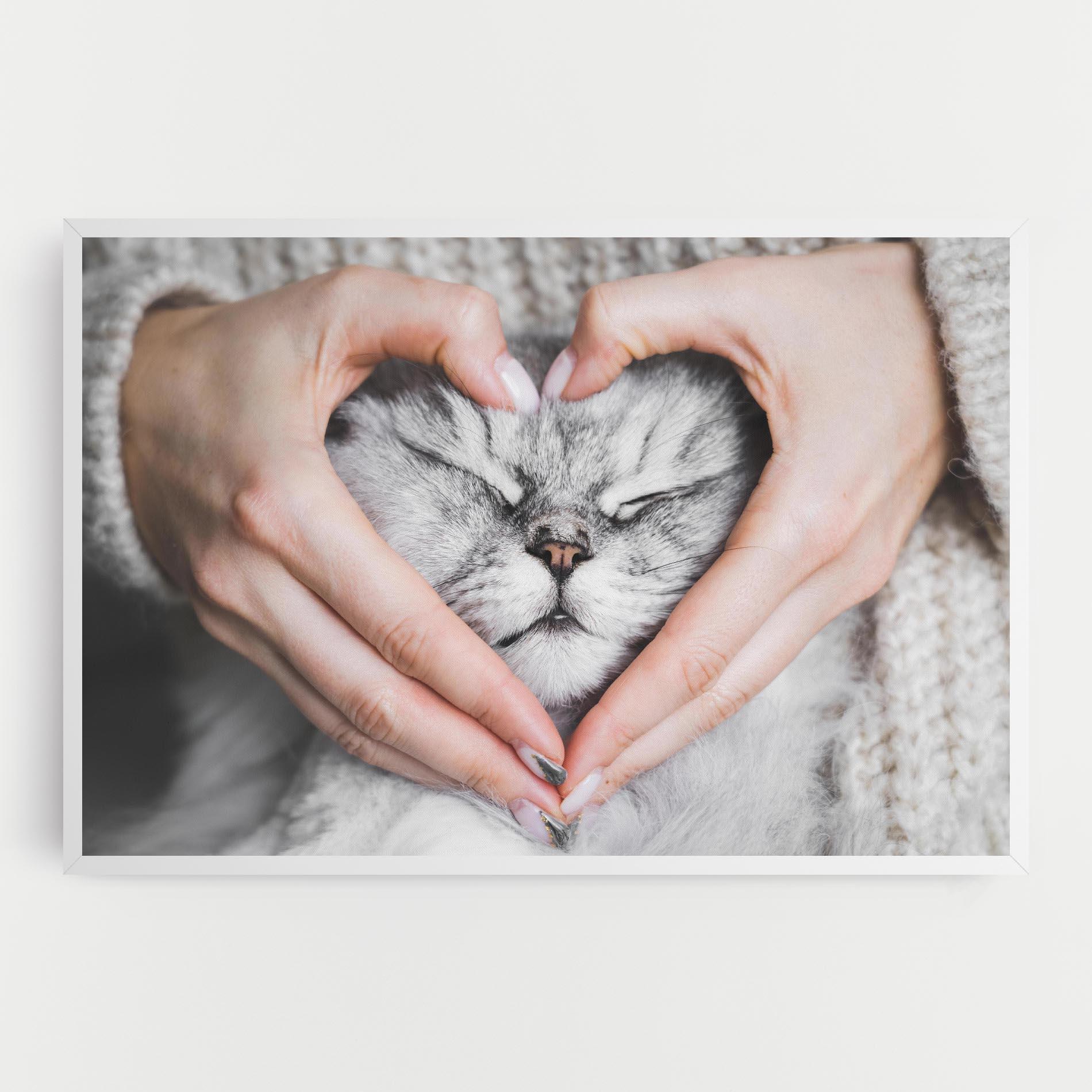 Tablou Canvas Lovely Cat mockup 0