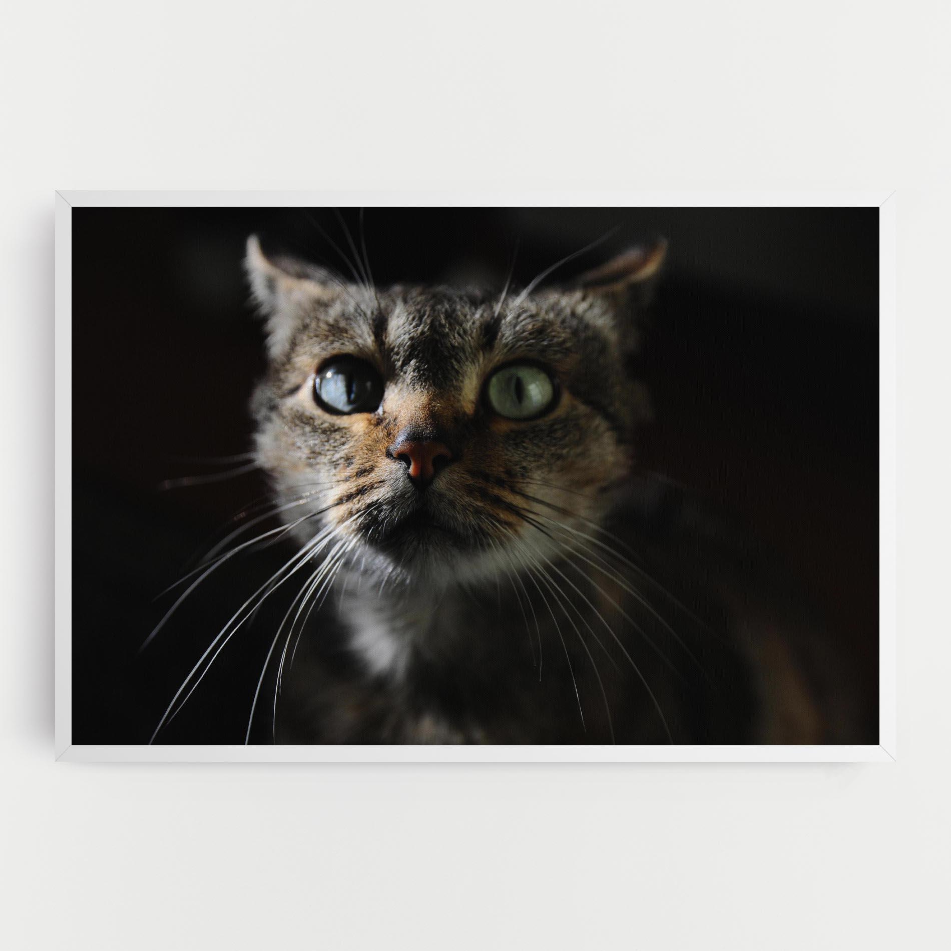 Tablou Canvas Playful Cat mockup 0