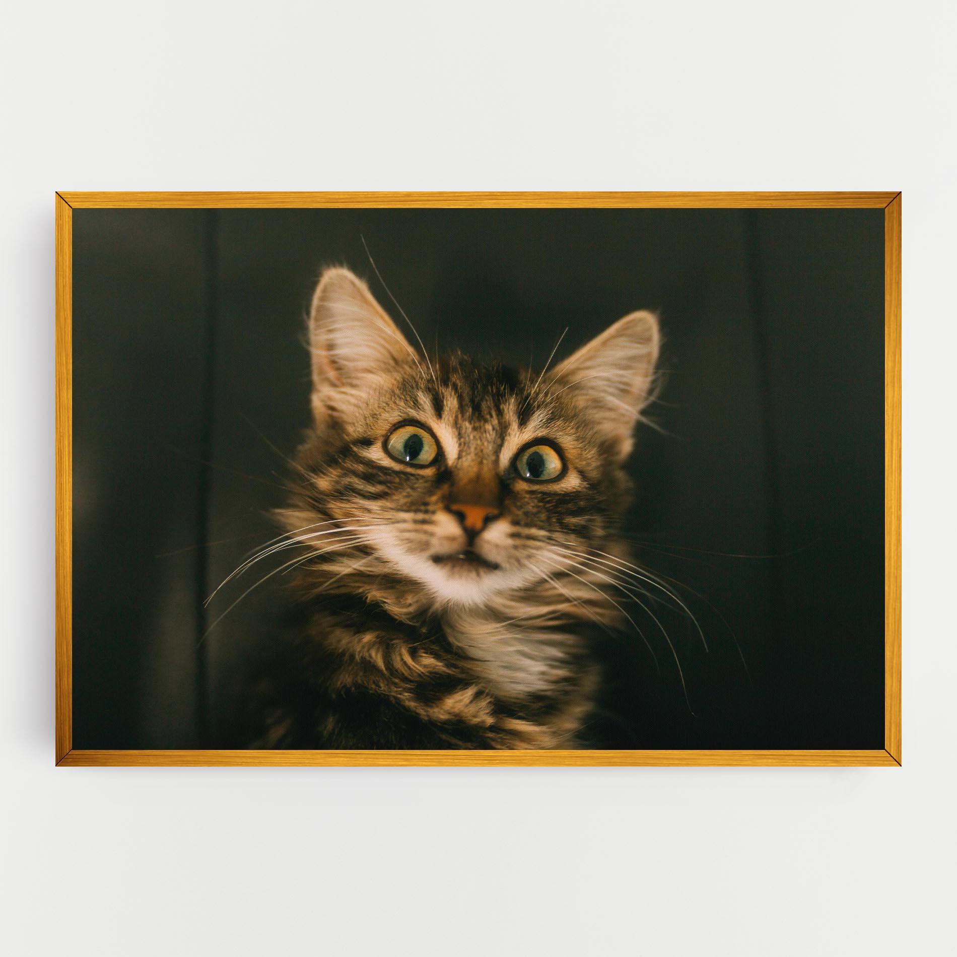 Tablou Canvas Amazed Cat mockup 0